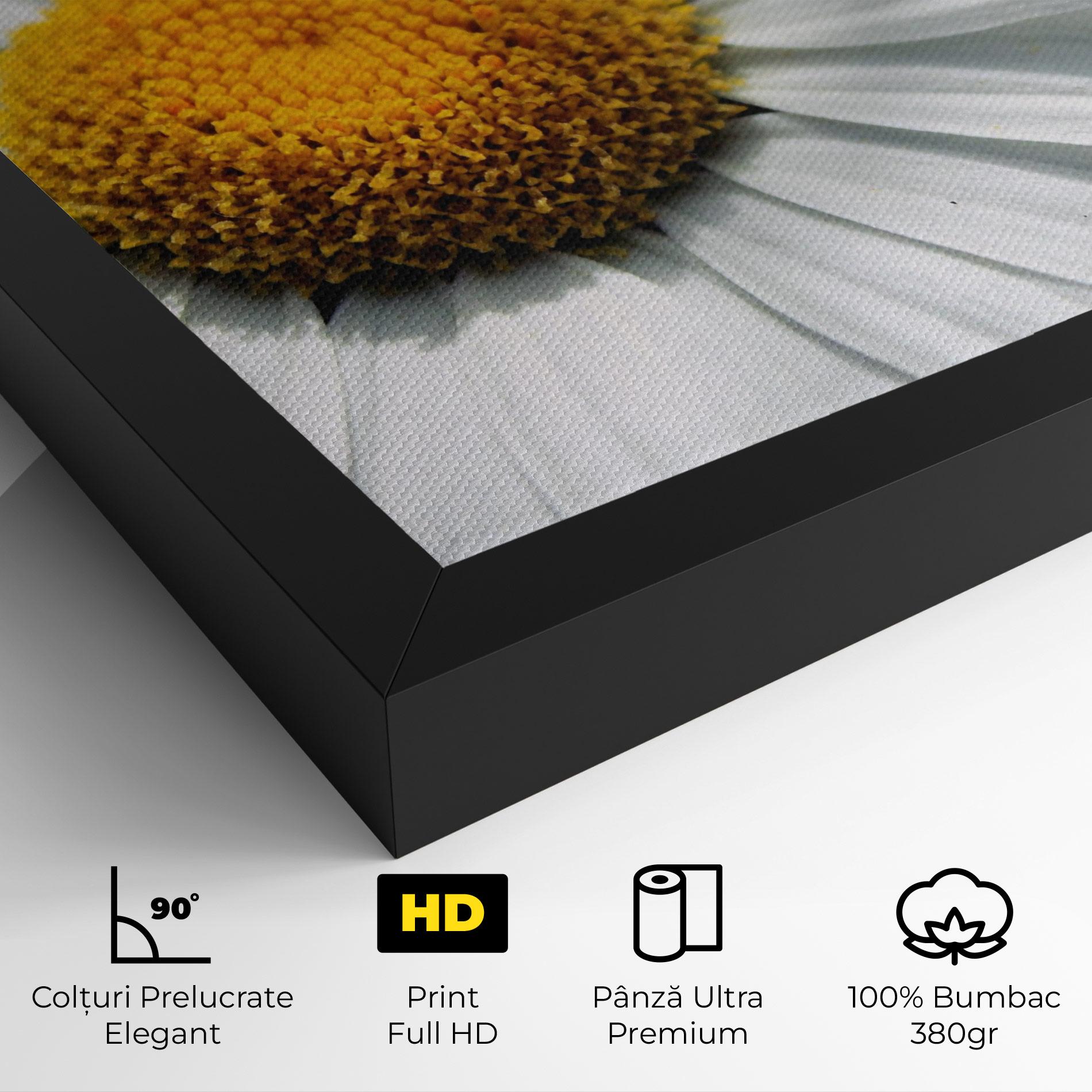 Tablou Canvas Big Daisies mockup 4