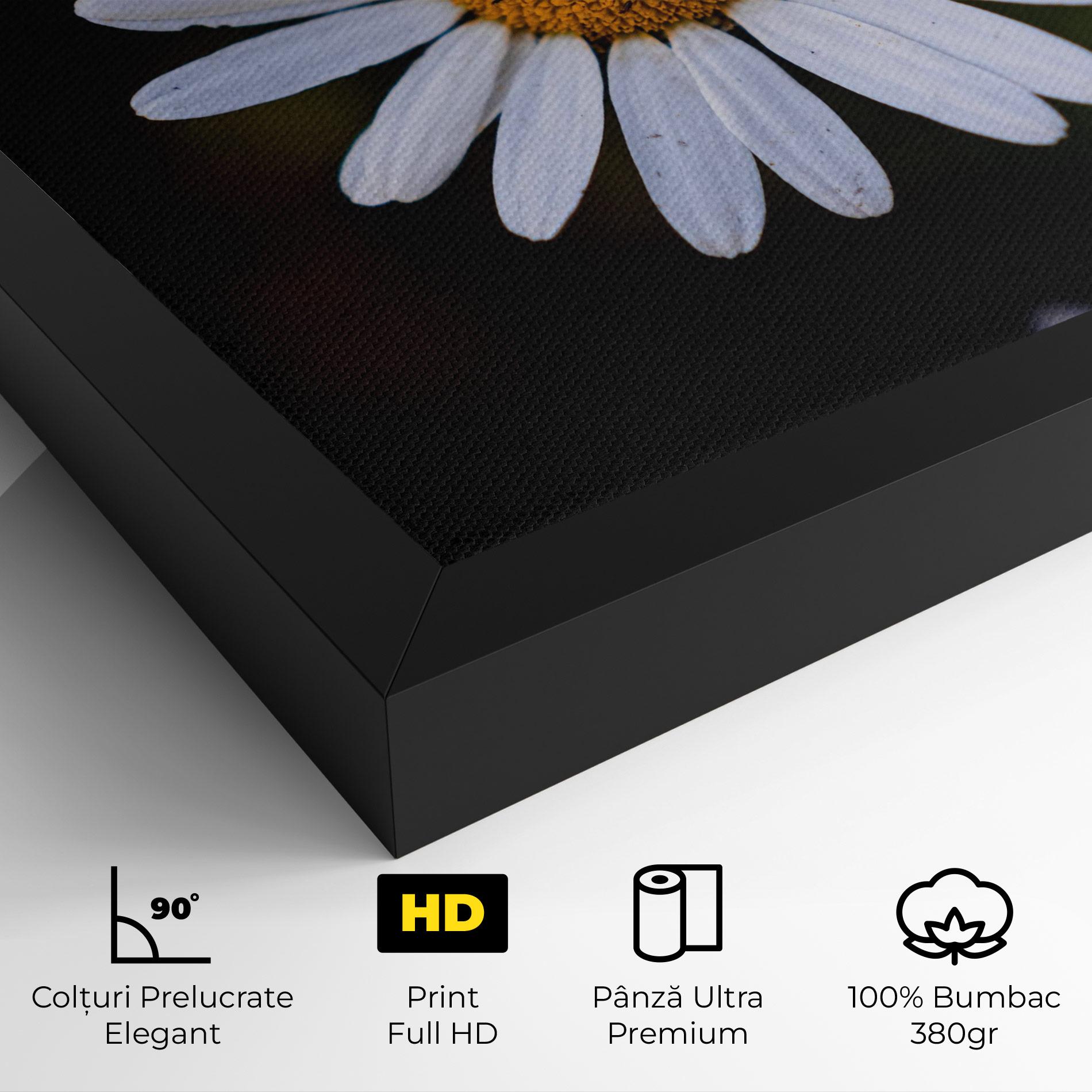 Tablou Canvas Big Yellow Center Daisy mockup 4