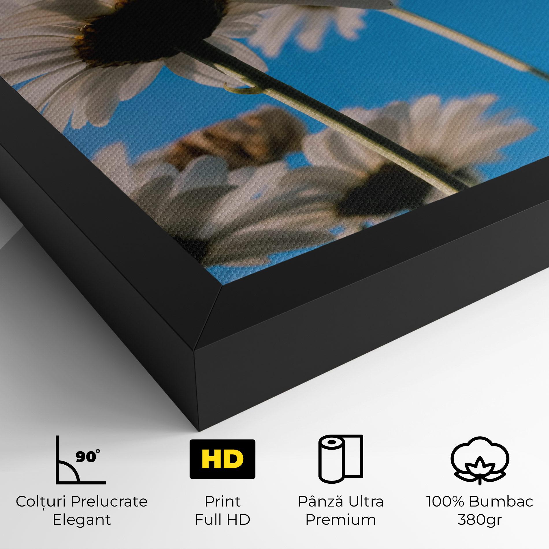 Tablou Canvas Blue Sky Daisy mockup 4