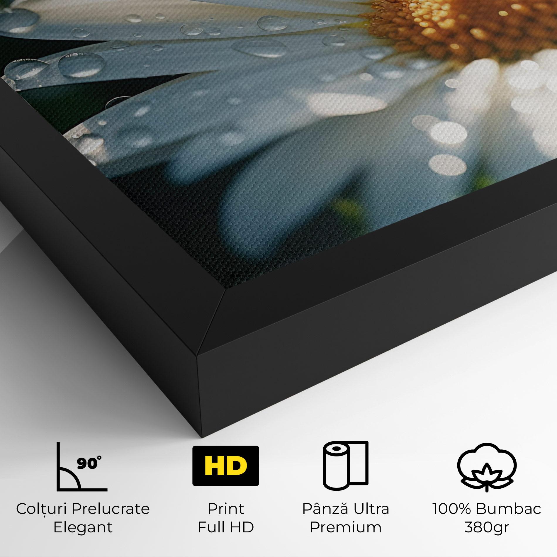 Tablou Canvas Daisy After Rain Close Up mockup 4