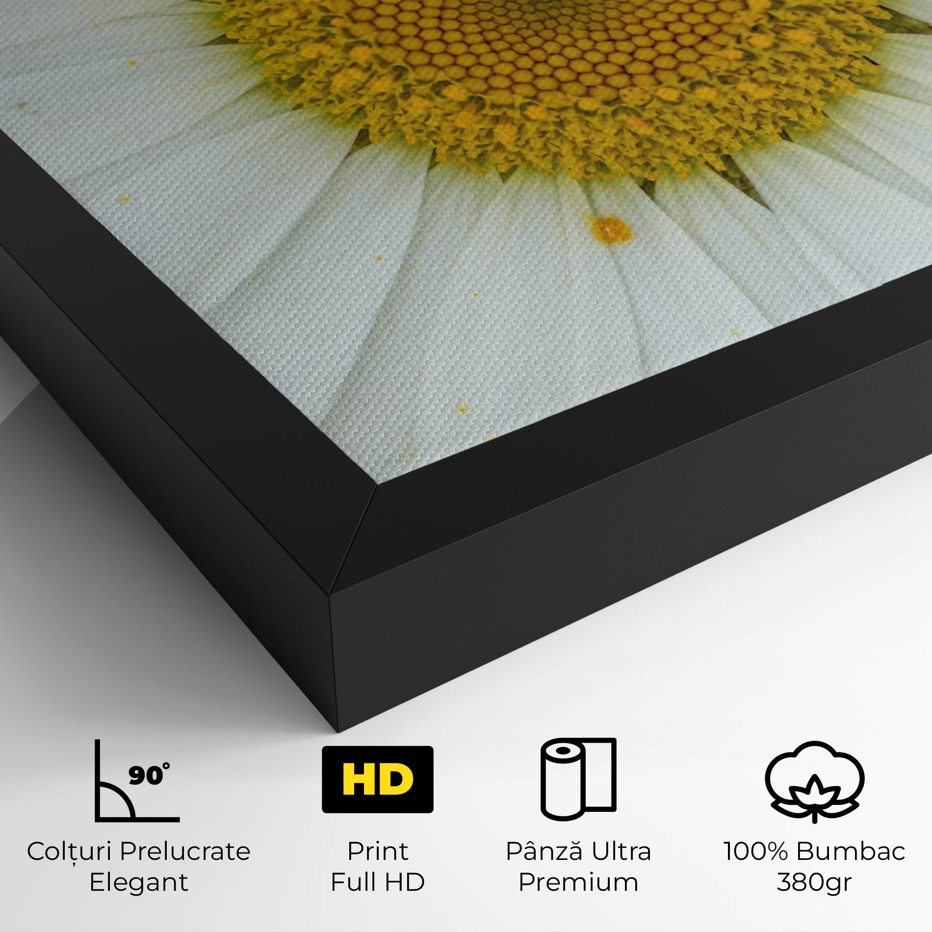 Tablou Canvas Daisy Close Up mockup 4