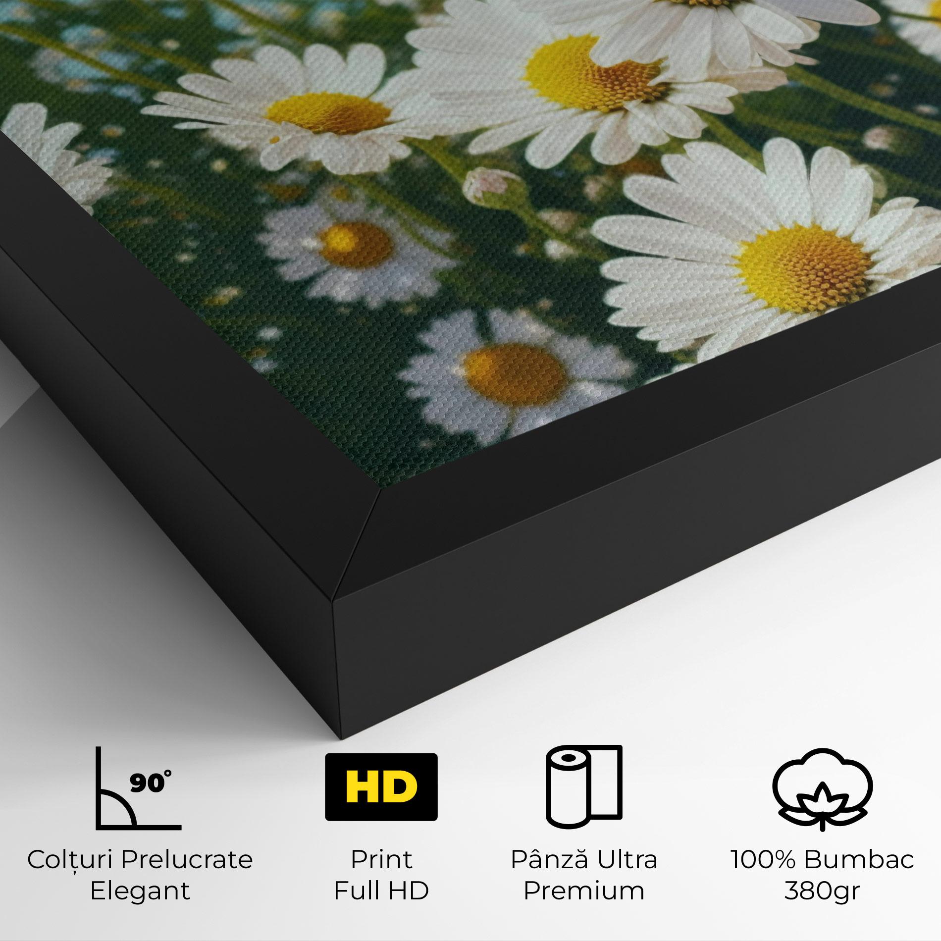 Tablou Canvas Daisy Field View mockup 4