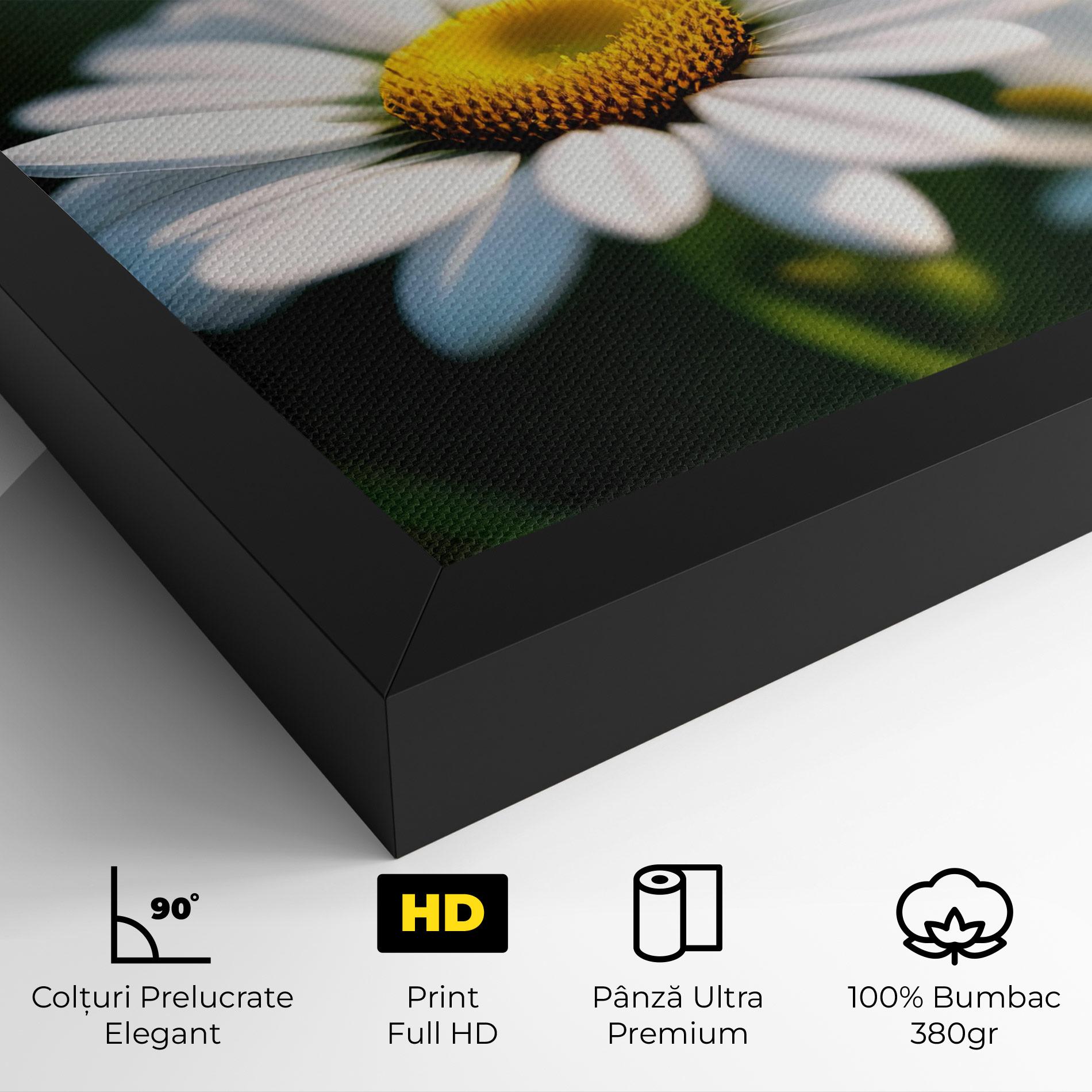 Tablou Canvas Daisy In The Sun mockup 4