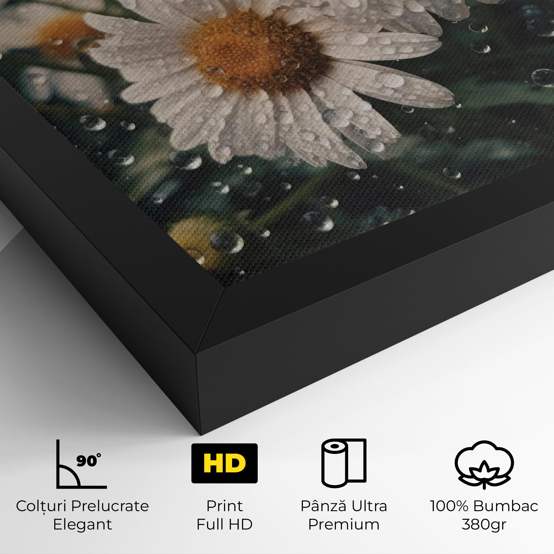 Tablou Canvas Daisy View After Rain mockup 4