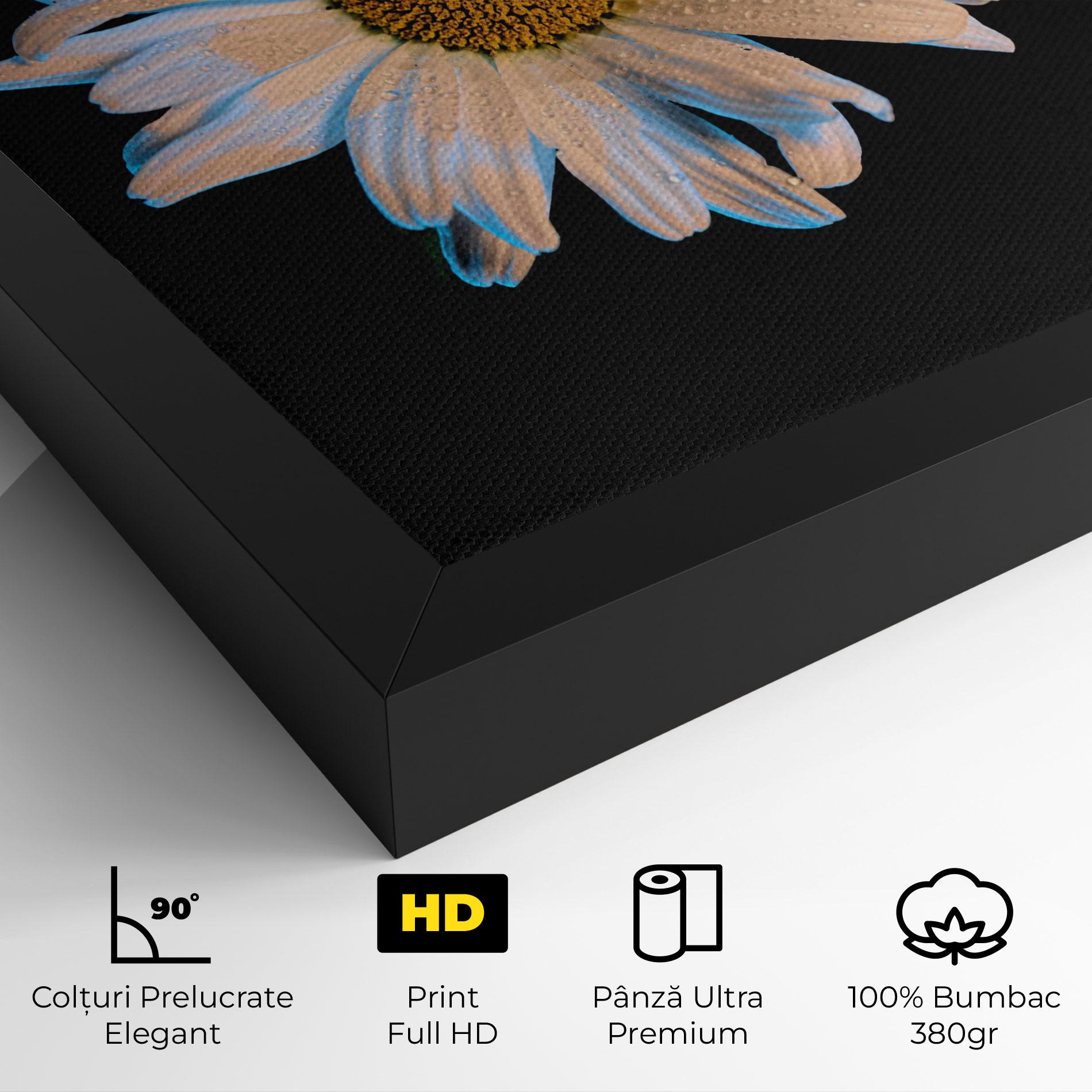 Tablou Canvas Daisy mockup 4