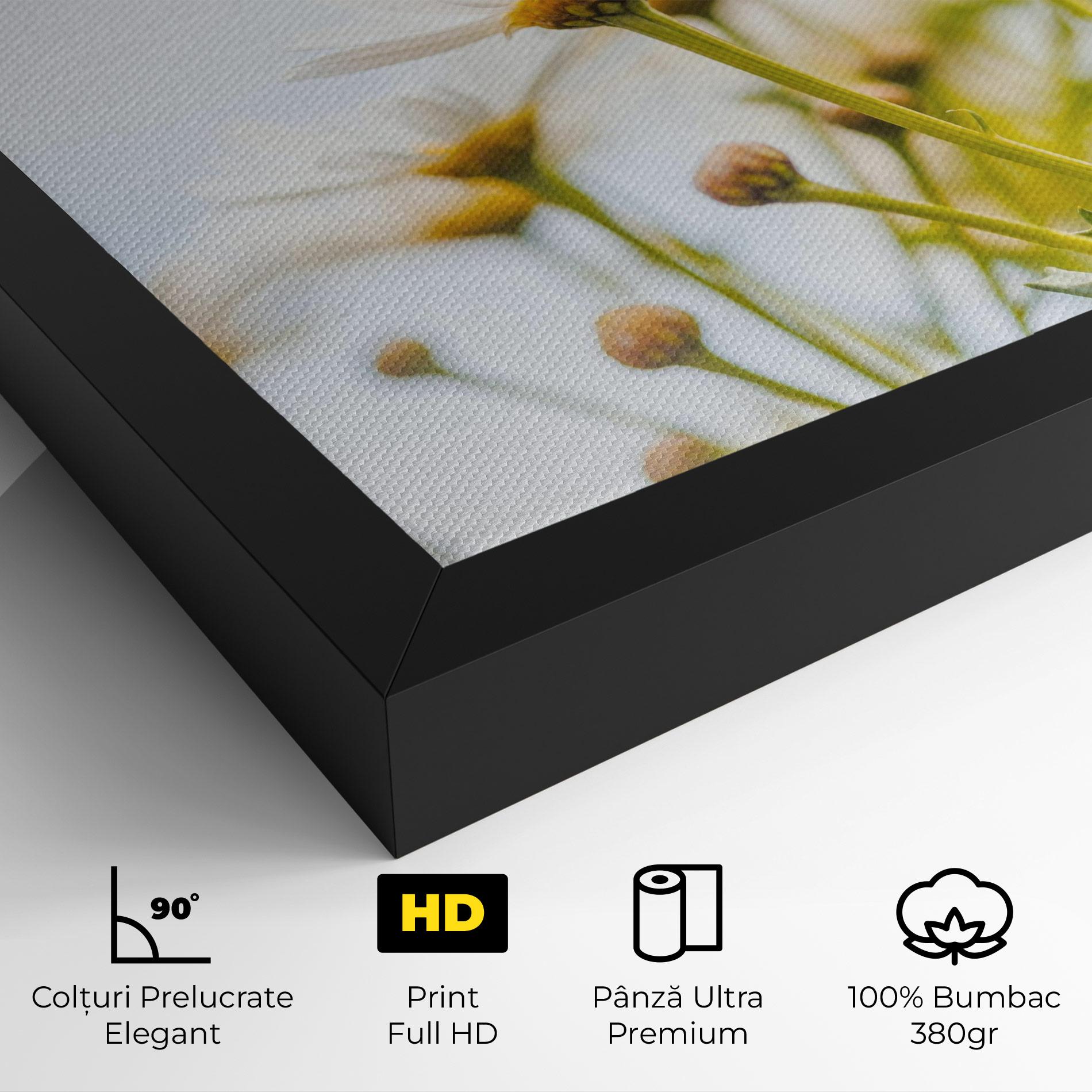 Tablou Canvas Dreamy Daisy mockup 4
