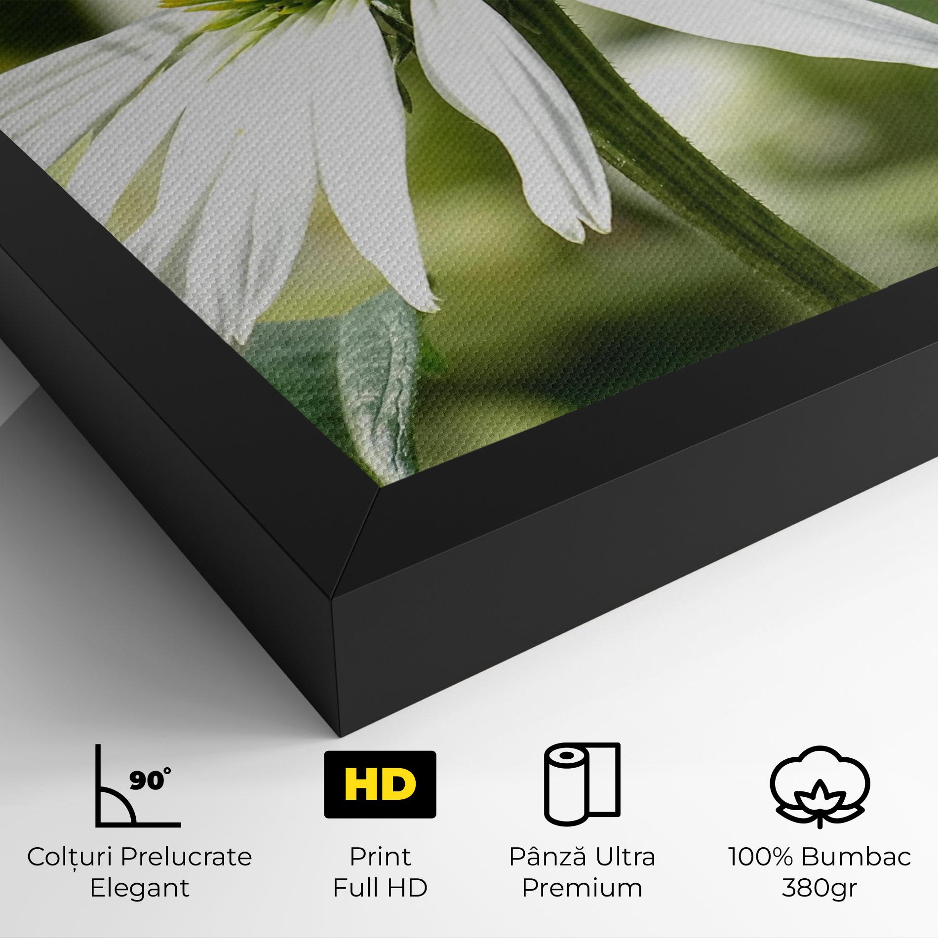 Tablou Canvas Green Daisy mockup 4