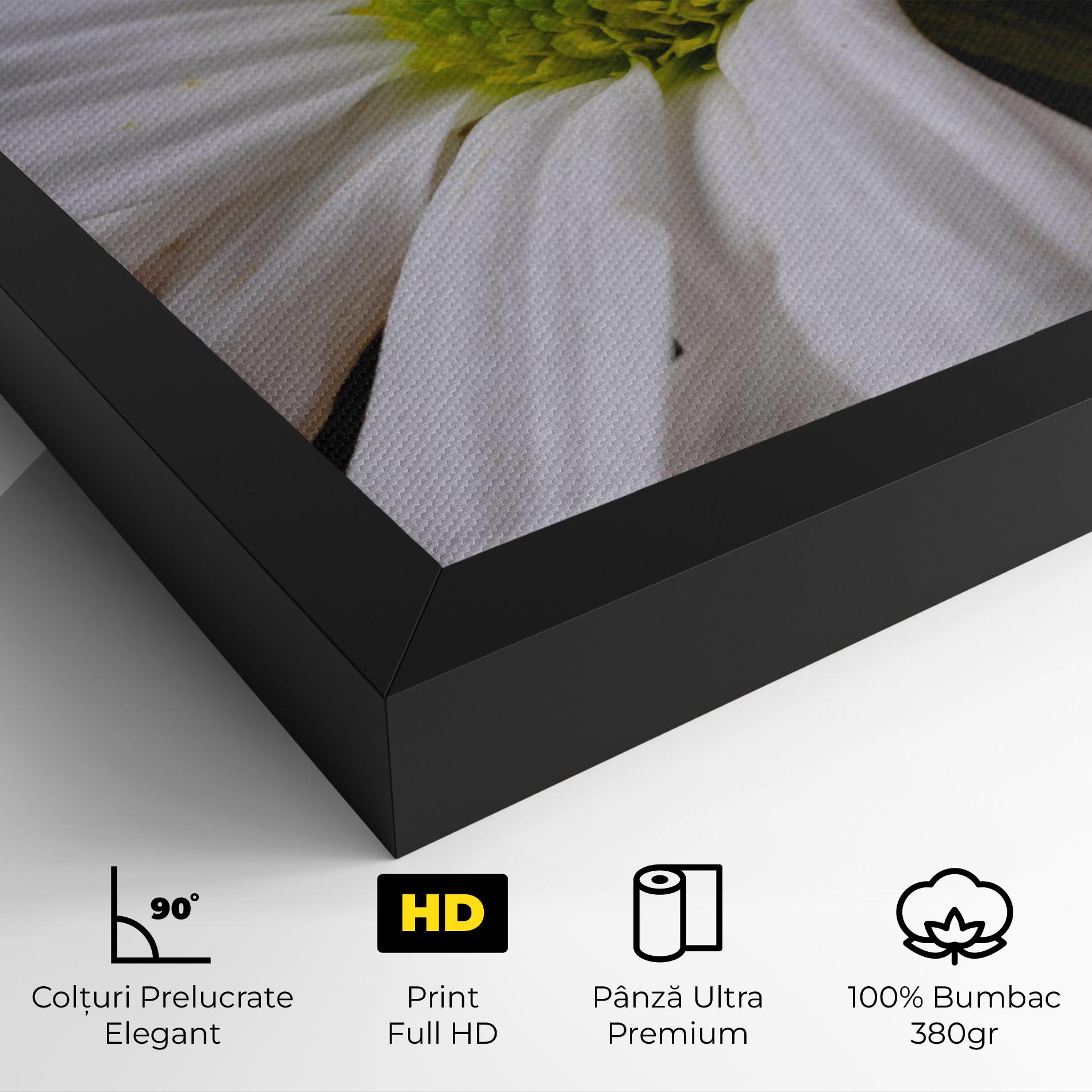 Tablou Canvas Green Middle Daisy mockup 4