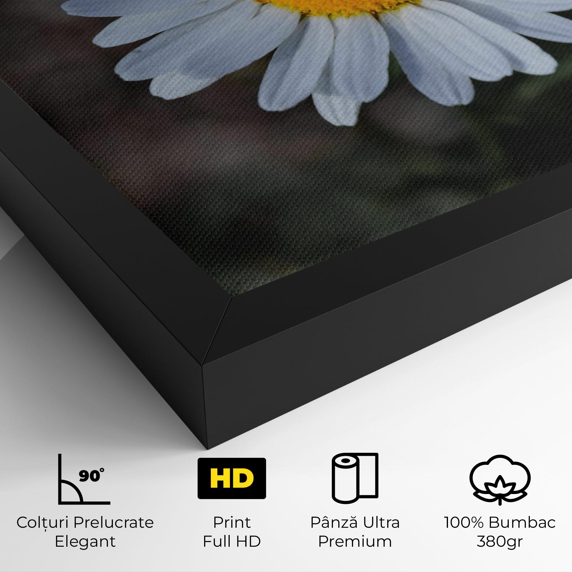 Tablou Canvas Strong Yellow Daisy mockup 4