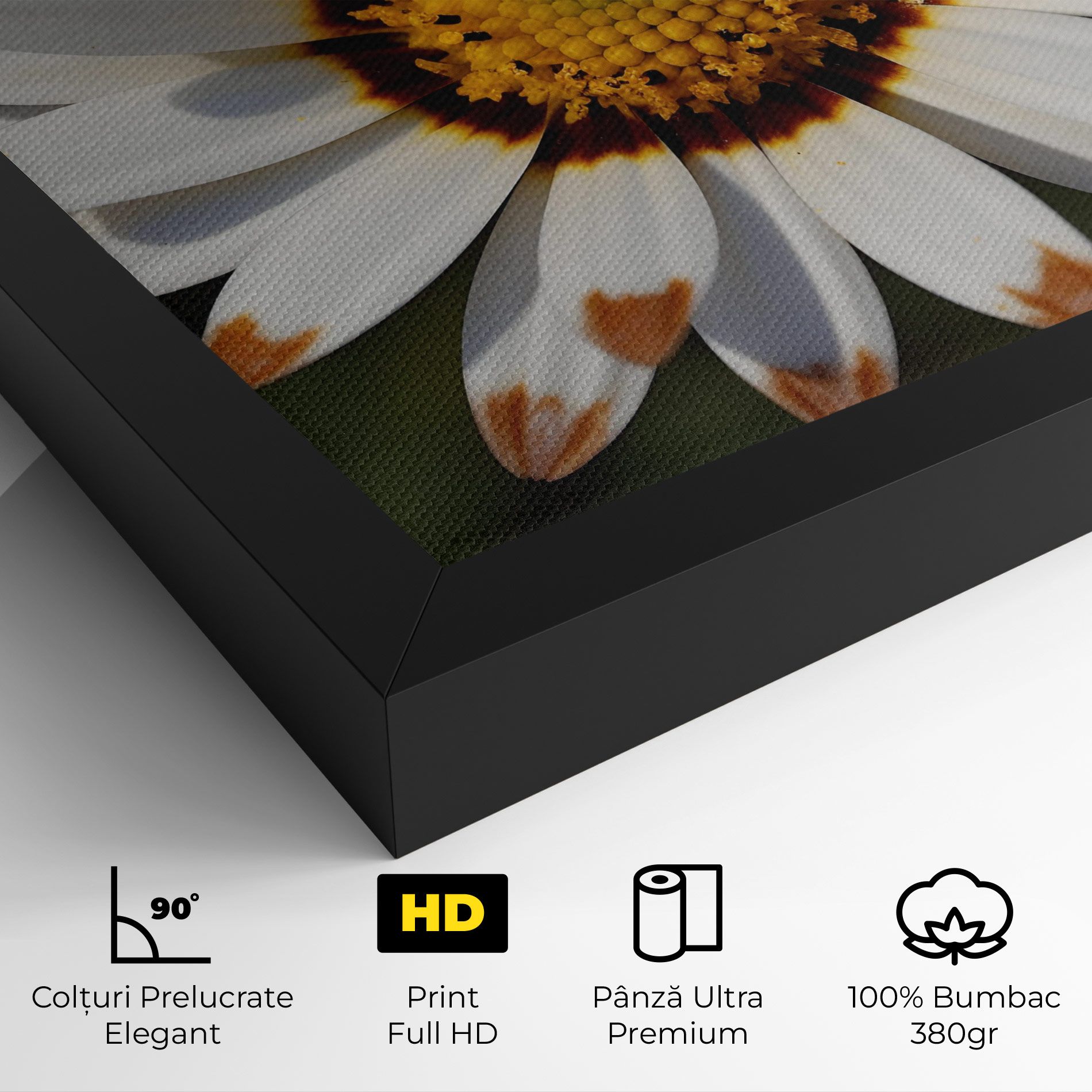 White Brown Daisy mockup 4
