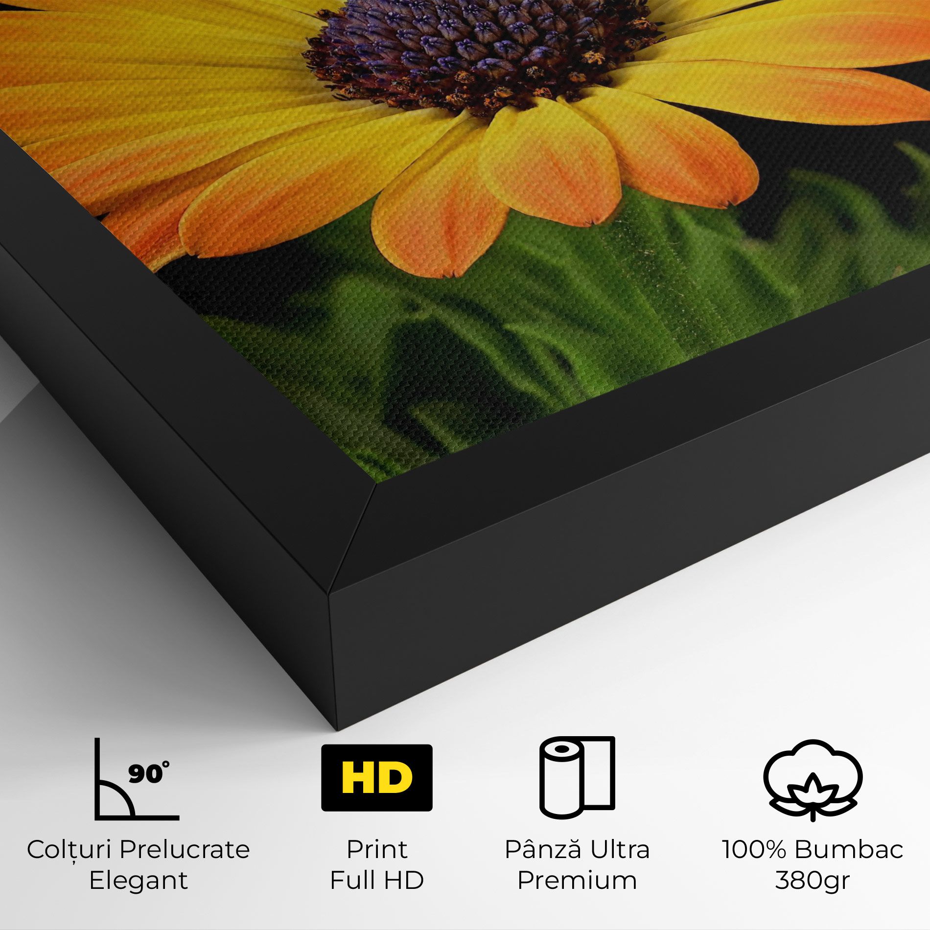 Yellow Daisy mockup 4