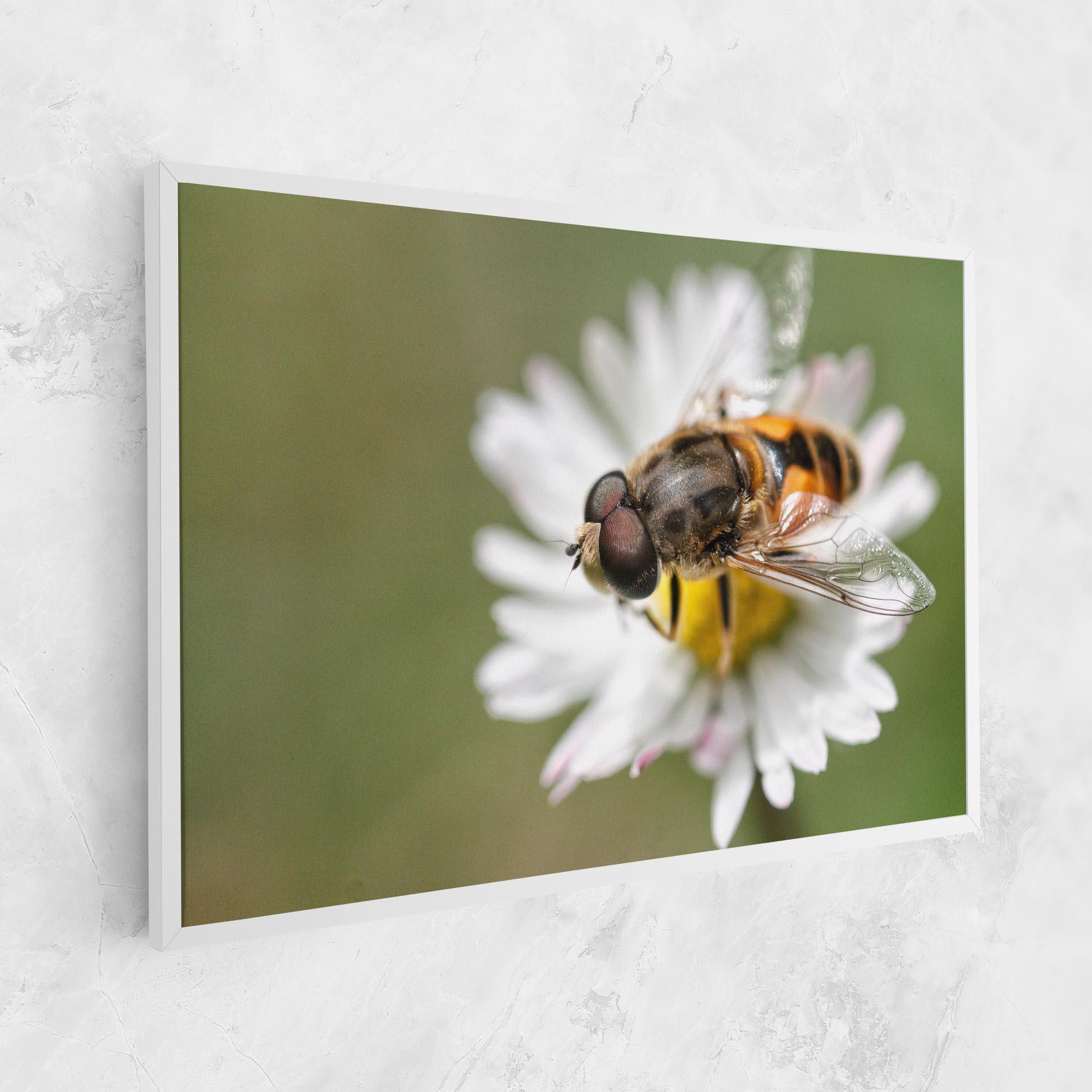 Tablou Canvas Bee On Small Daisy mockup 1