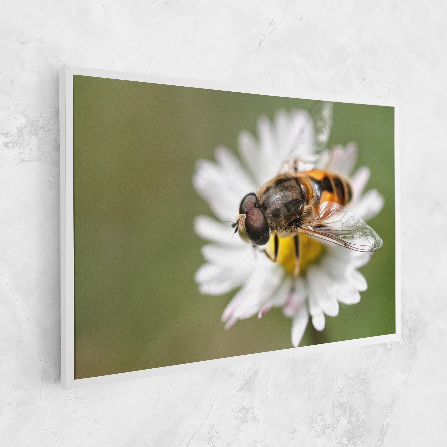 Bee On Small Daisy mockup 1