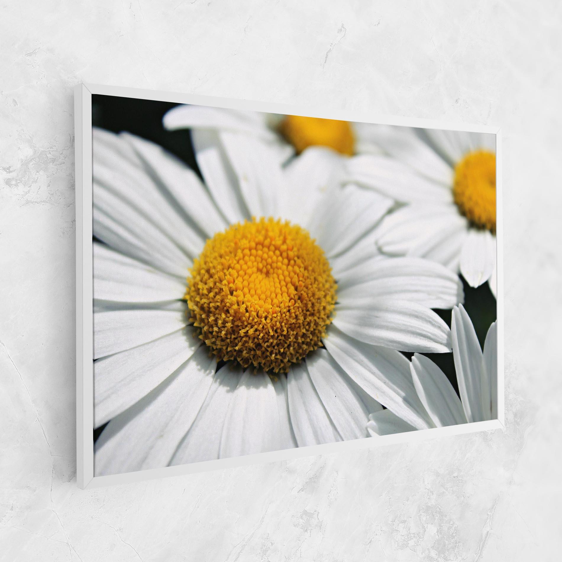 Tablou Canvas Big Daisies mockup 1