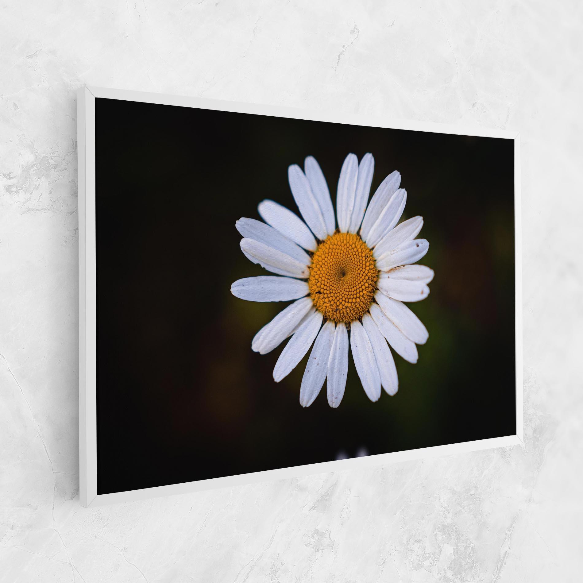 Tablou Canvas Big Yellow Center Daisy mockup 1