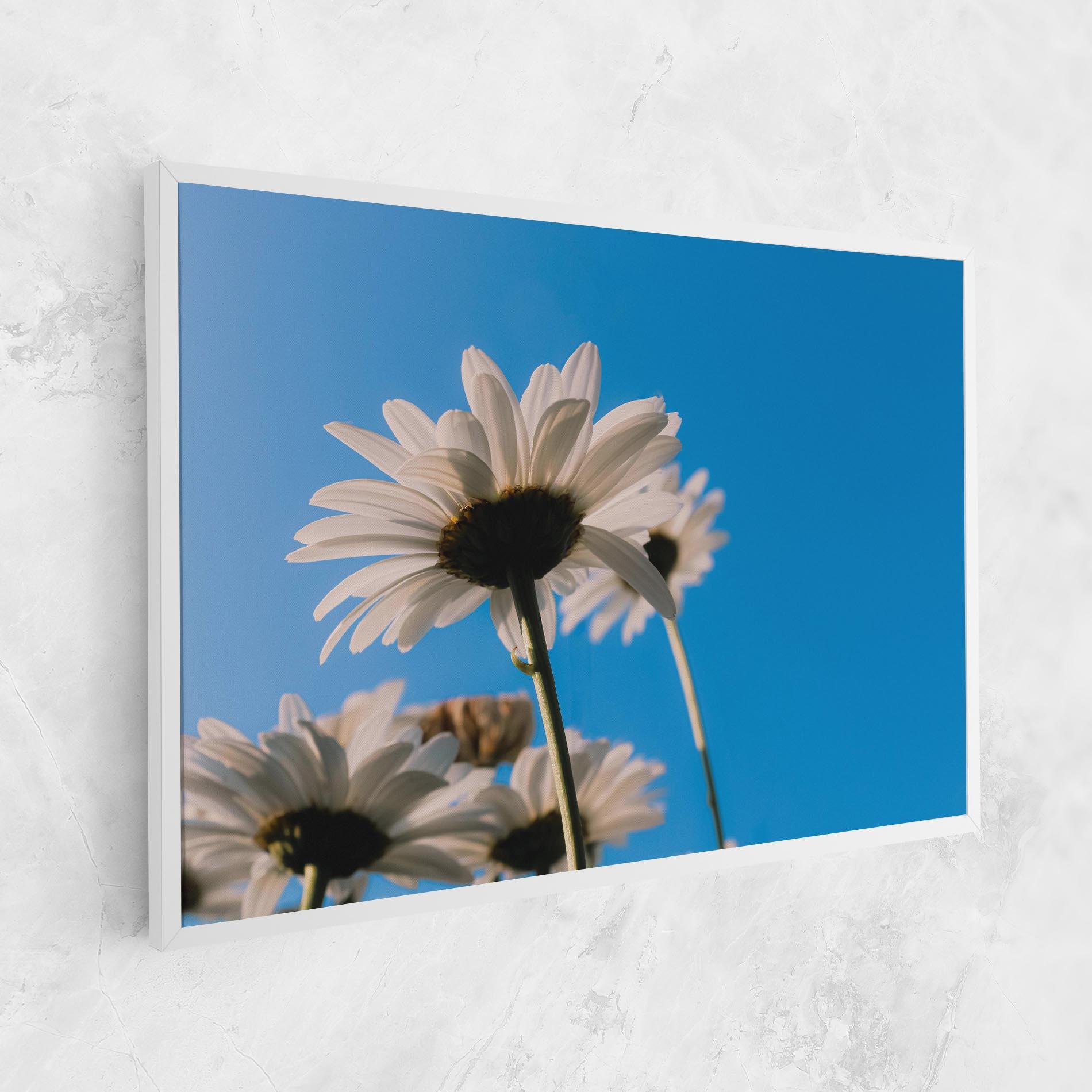 Tablou Canvas Blue Sky Daisy mockup 1