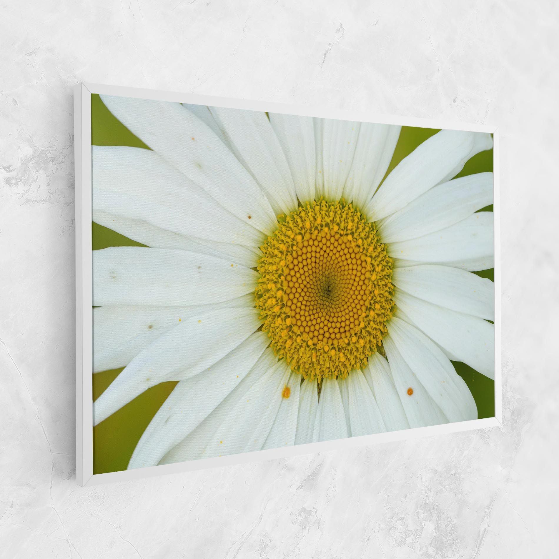 Daisy Close Up mockup 1