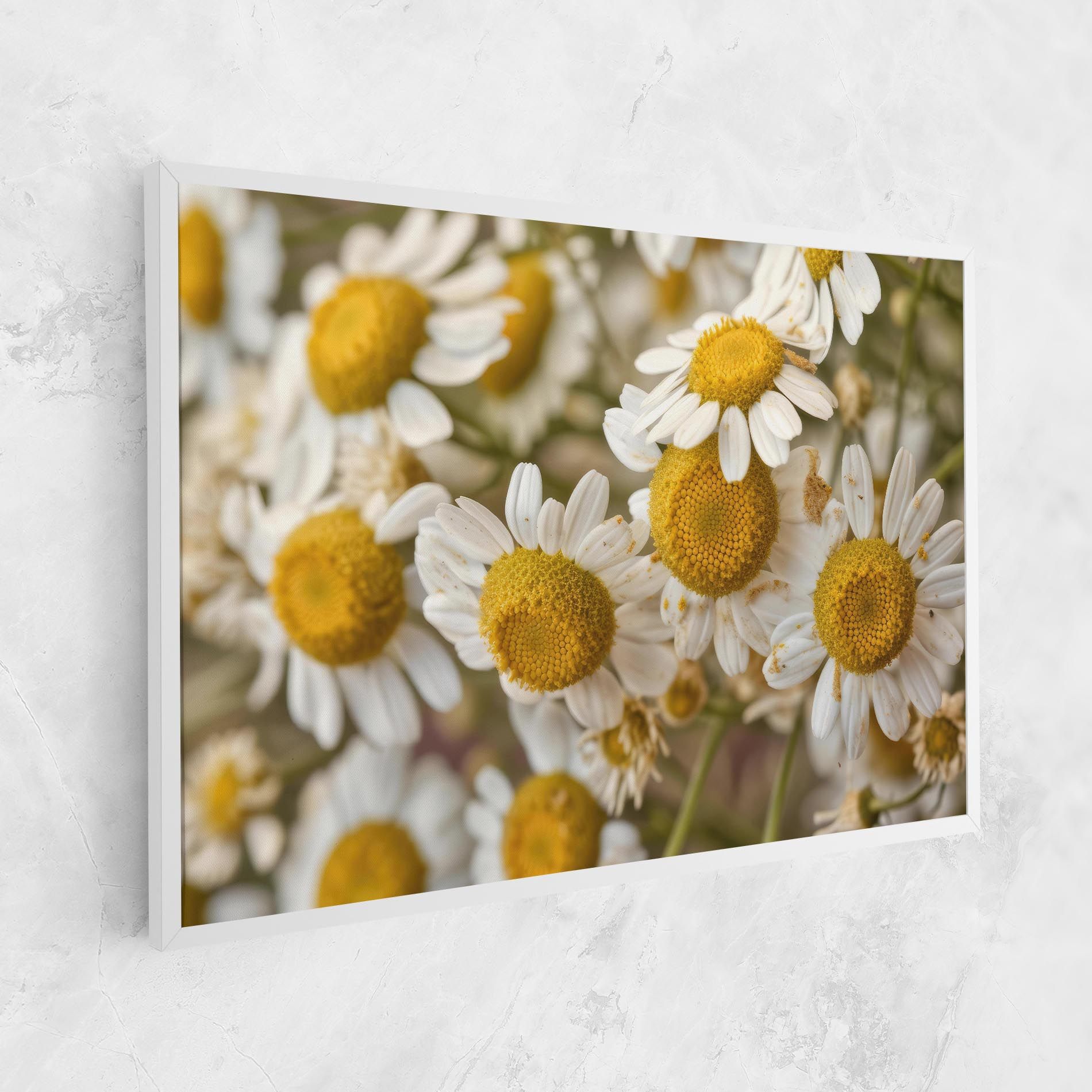 Daisy Wall mockup 1