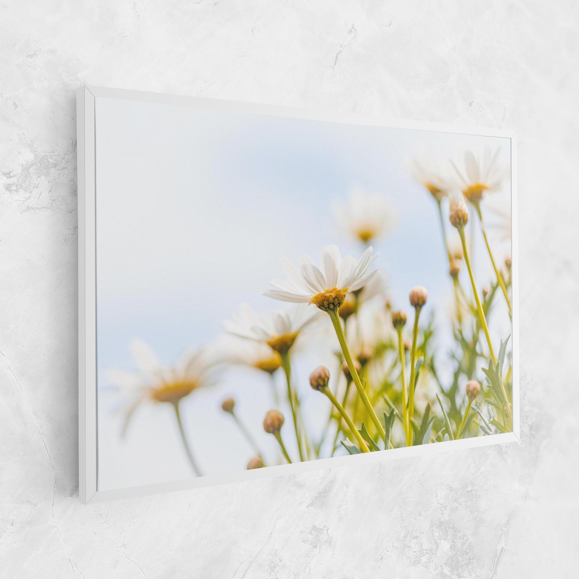 Tablou Canvas Dreamy Daisy mockup 1