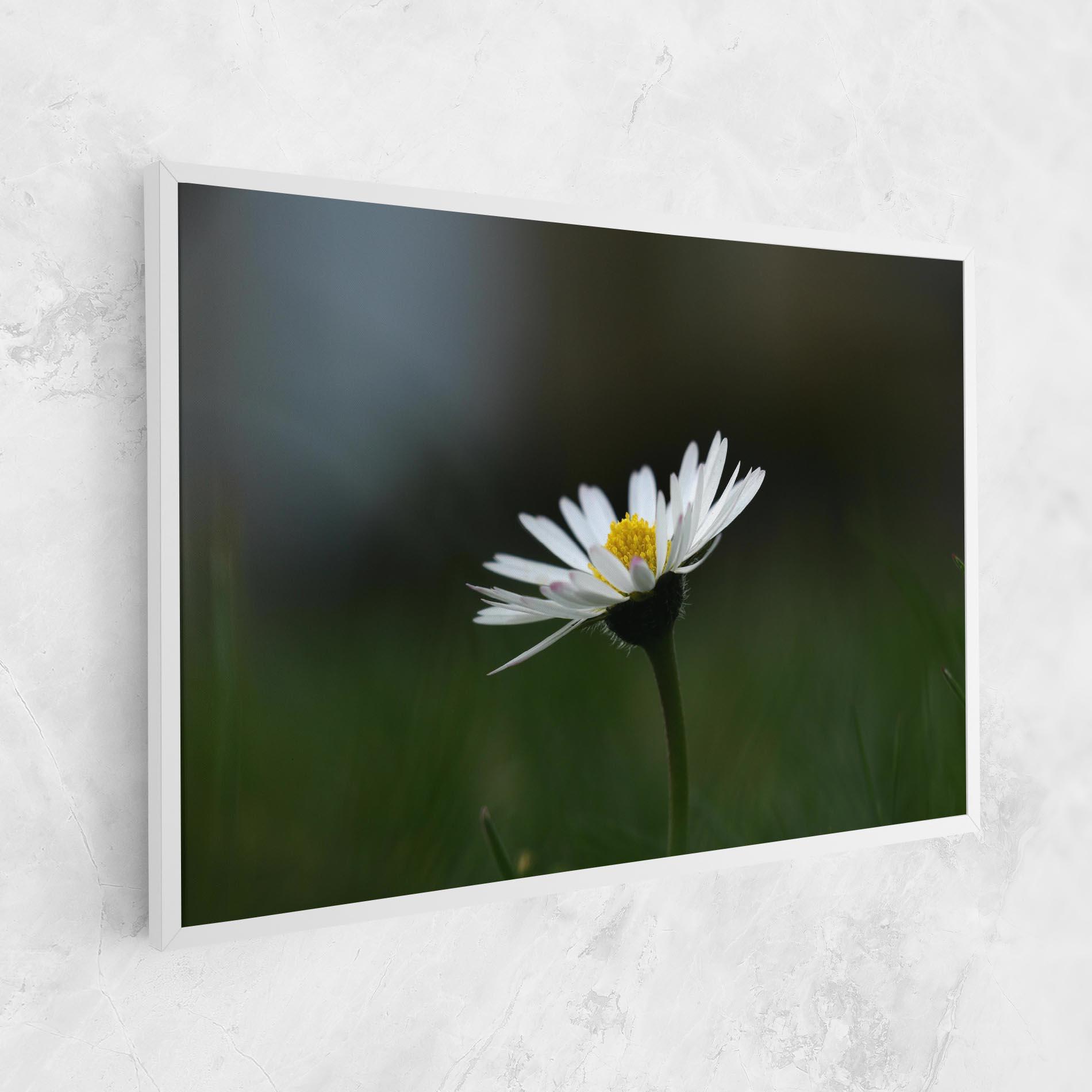 Tablou Canvas Garden Daisy mockup 1