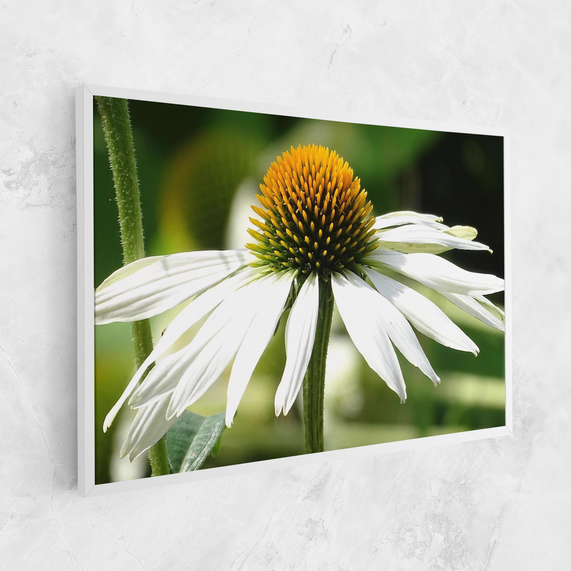 Tablou Canvas Green Daisy mockup 1