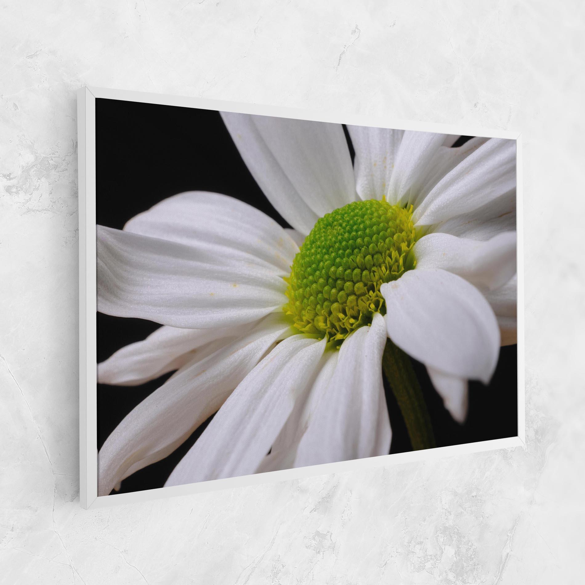 Tablou Canvas Green Middle Daisy mockup 1