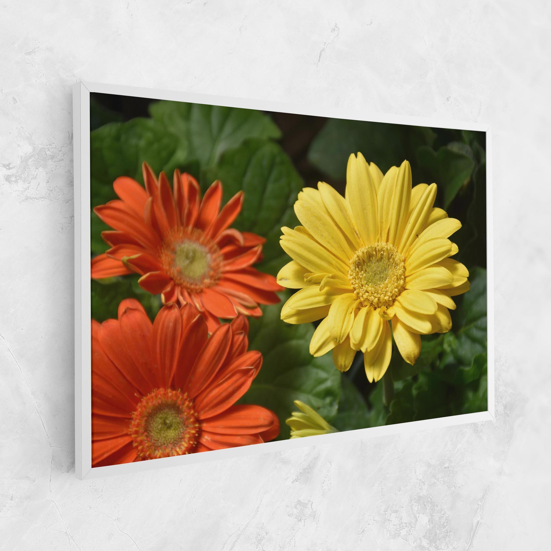 Tablou Canvas Orange Yellow Daisy mockup 1