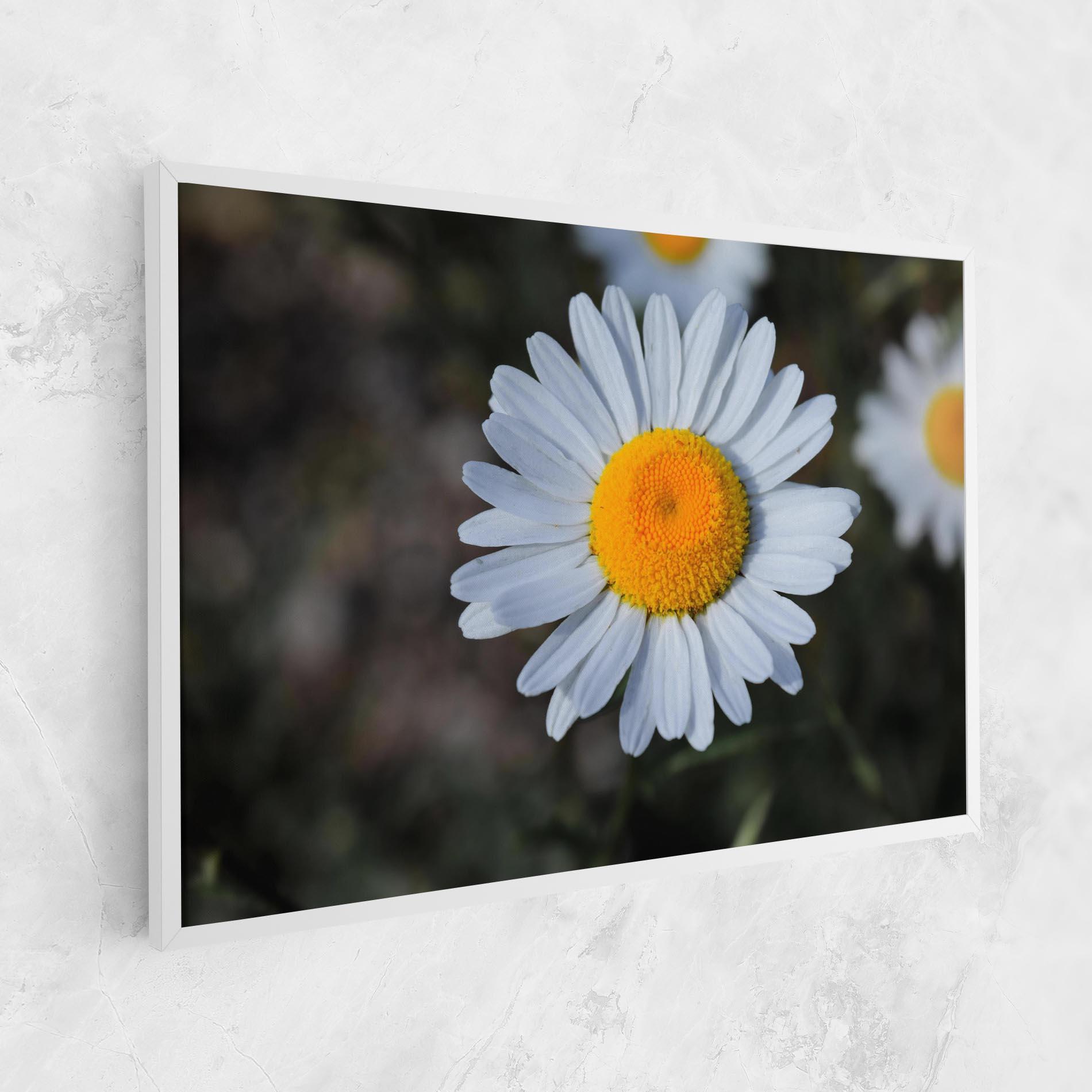 Tablou Canvas Strong Yellow Daisy mockup 1