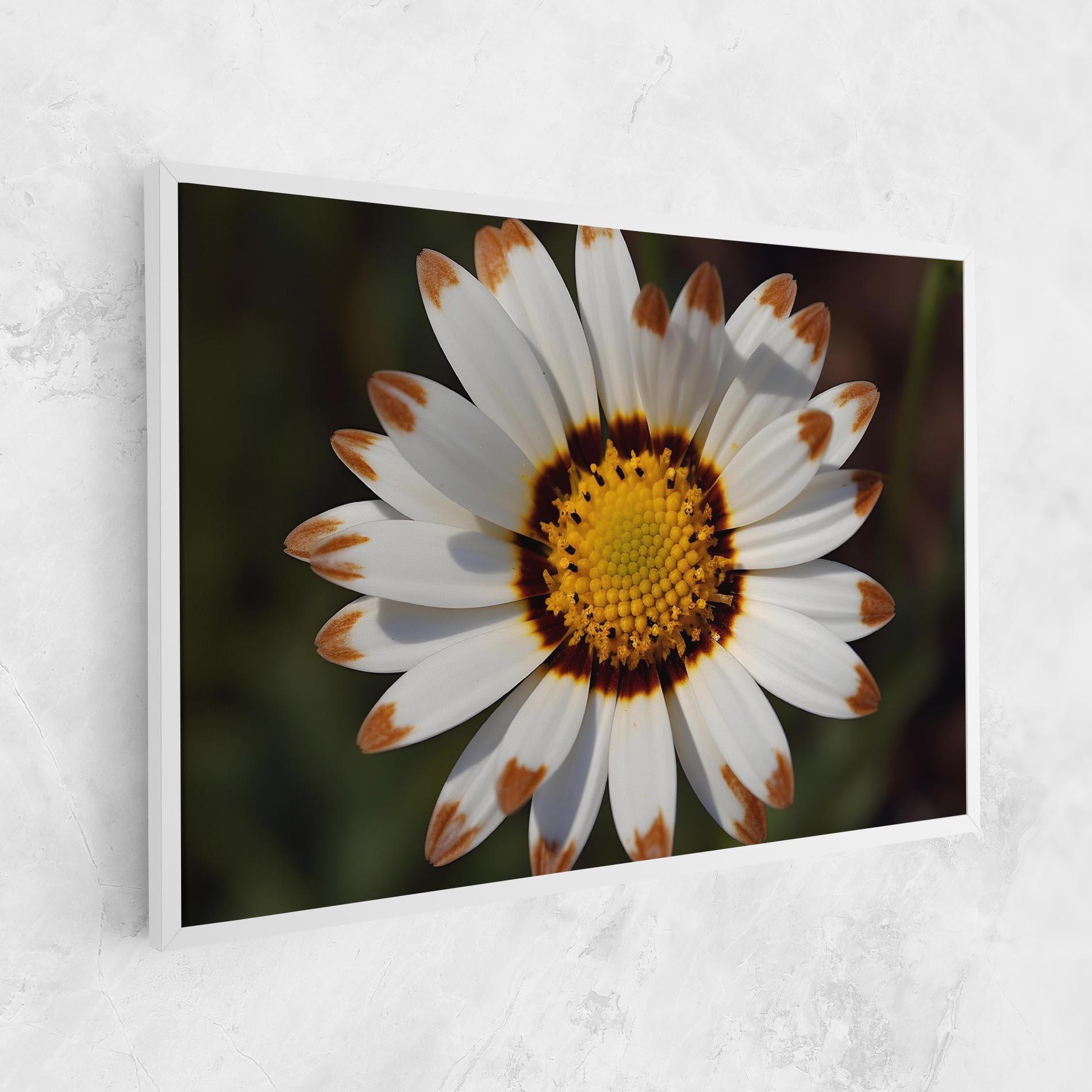 Tablou Canvas White Brown Daisy mockup 1