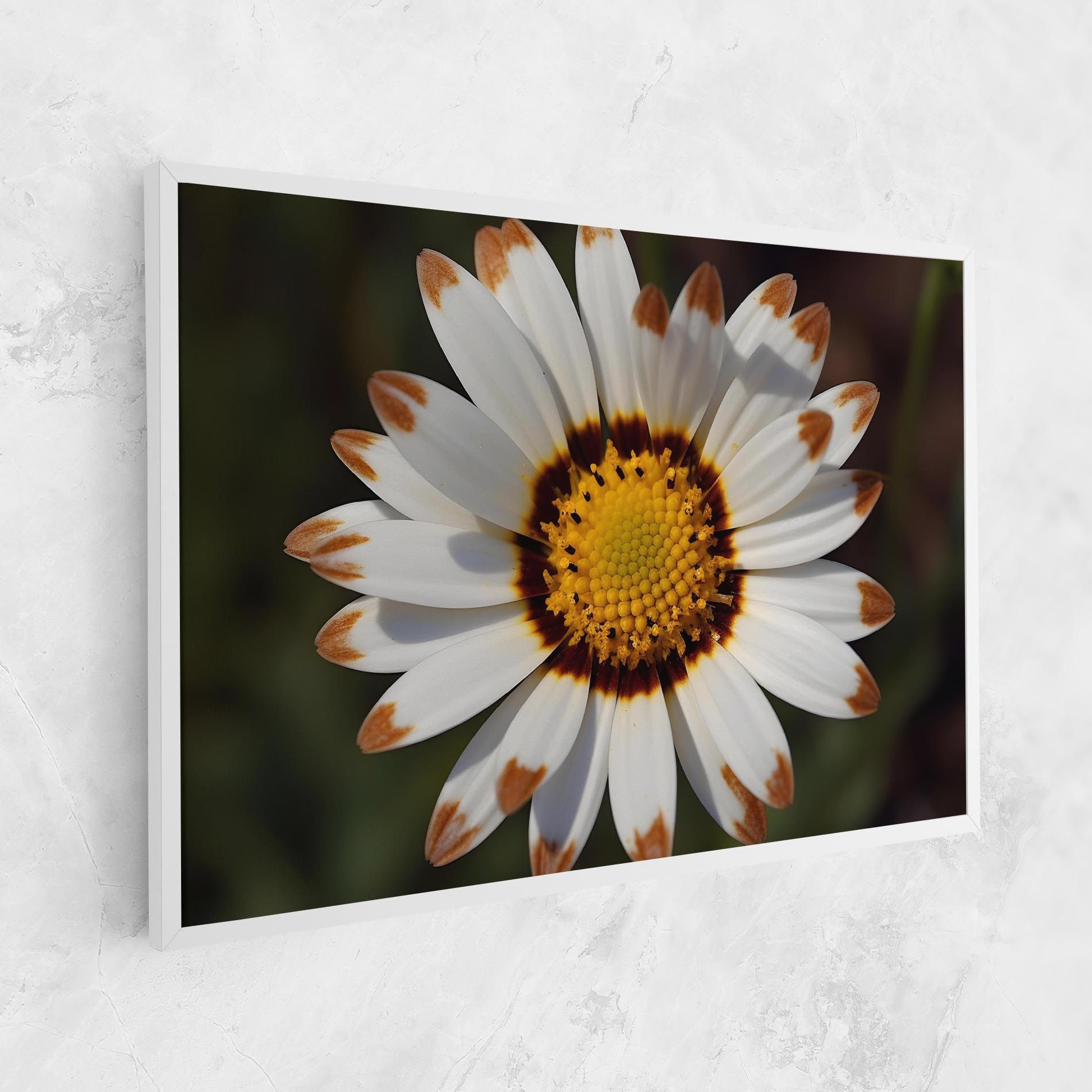 White Brown Daisy mockup 1