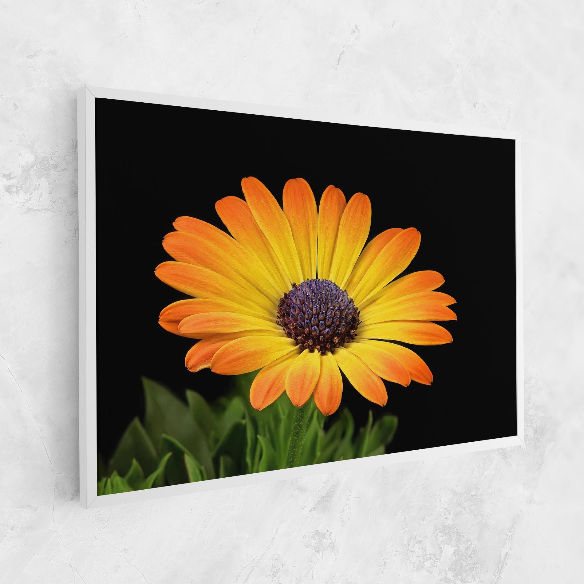 Tablou Canvas Yellow Daisy mockup 1