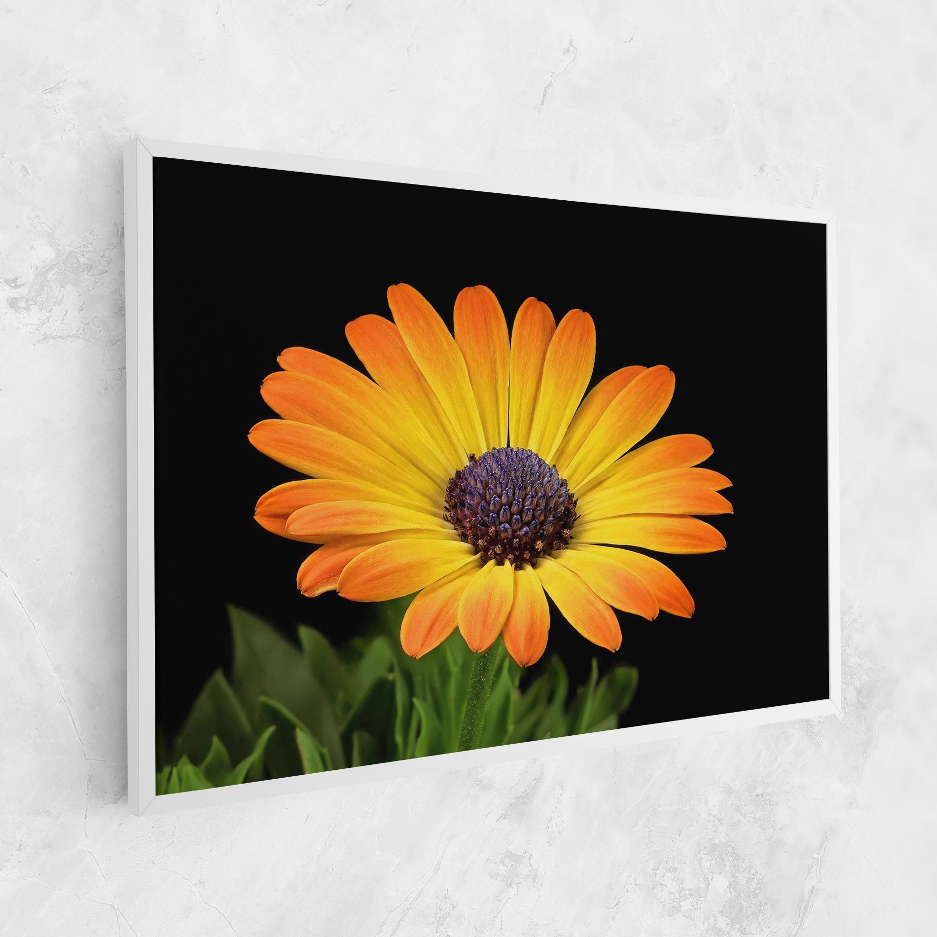 Yellow Daisy mockup 1