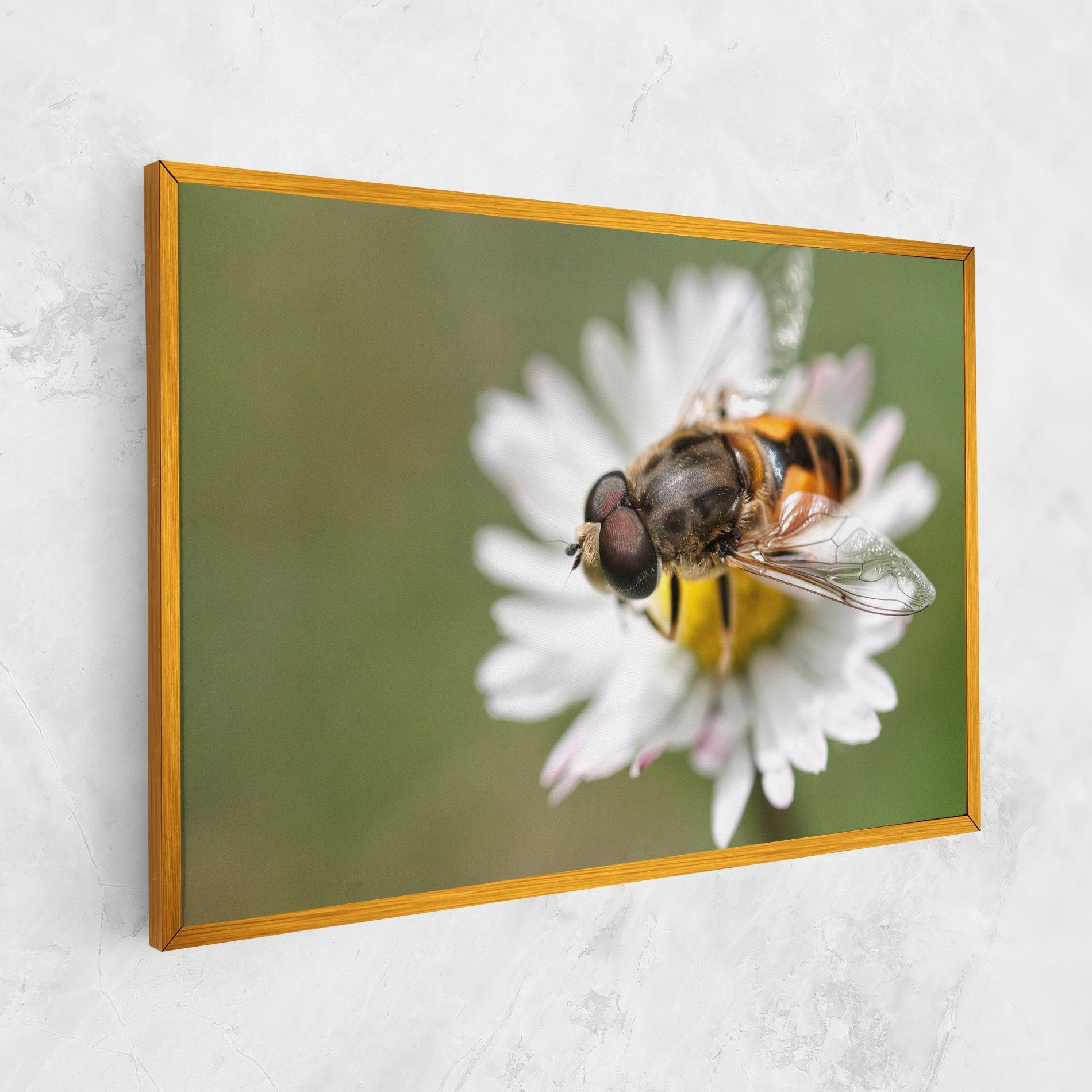 Bee On Small Daisy mockup 1