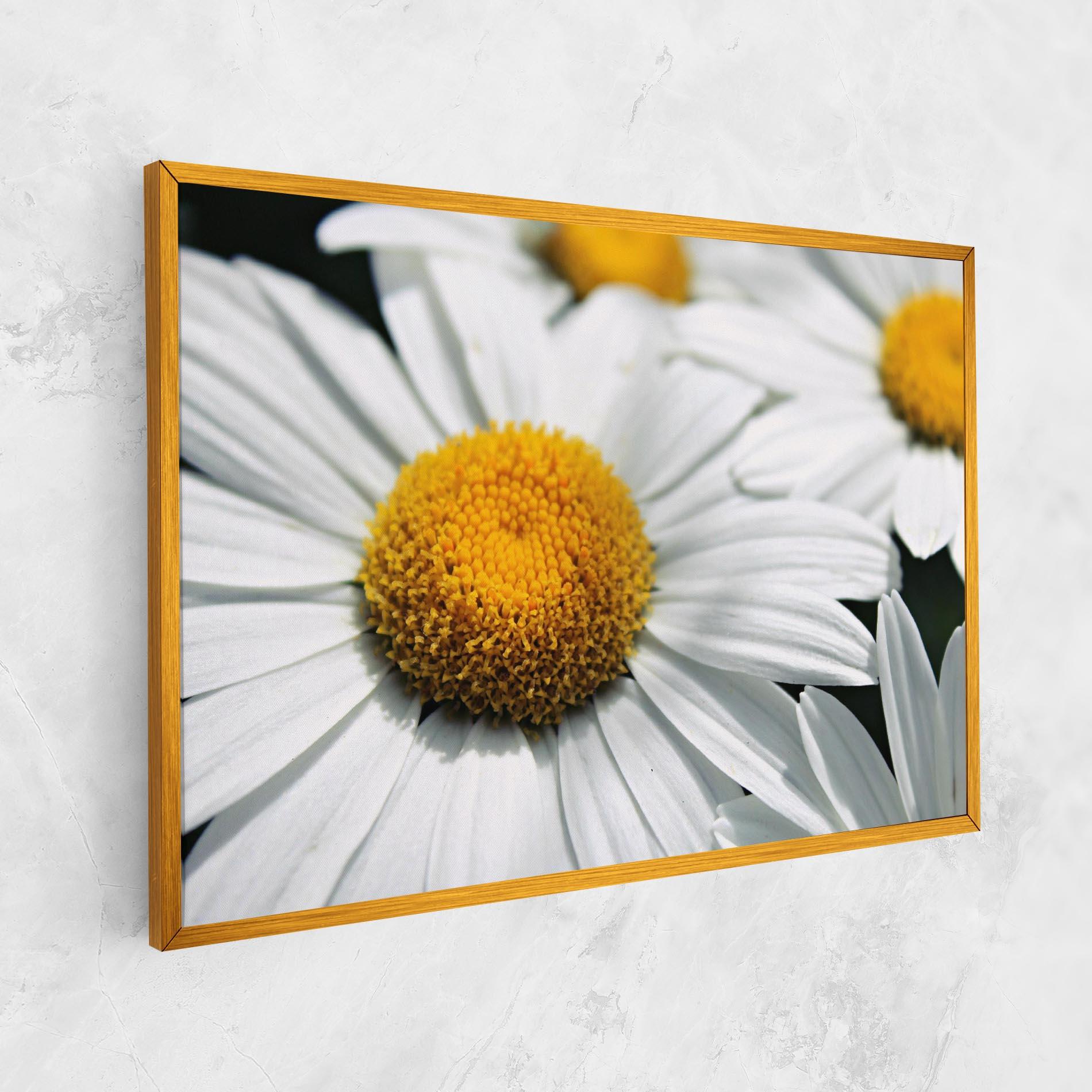 Tablou Canvas Big Daisies mockup 1