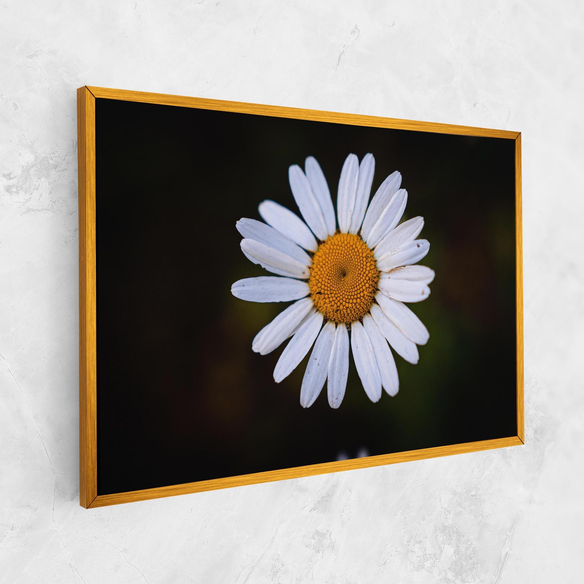 Tablou Canvas Big Yellow Center Daisy mockup 1