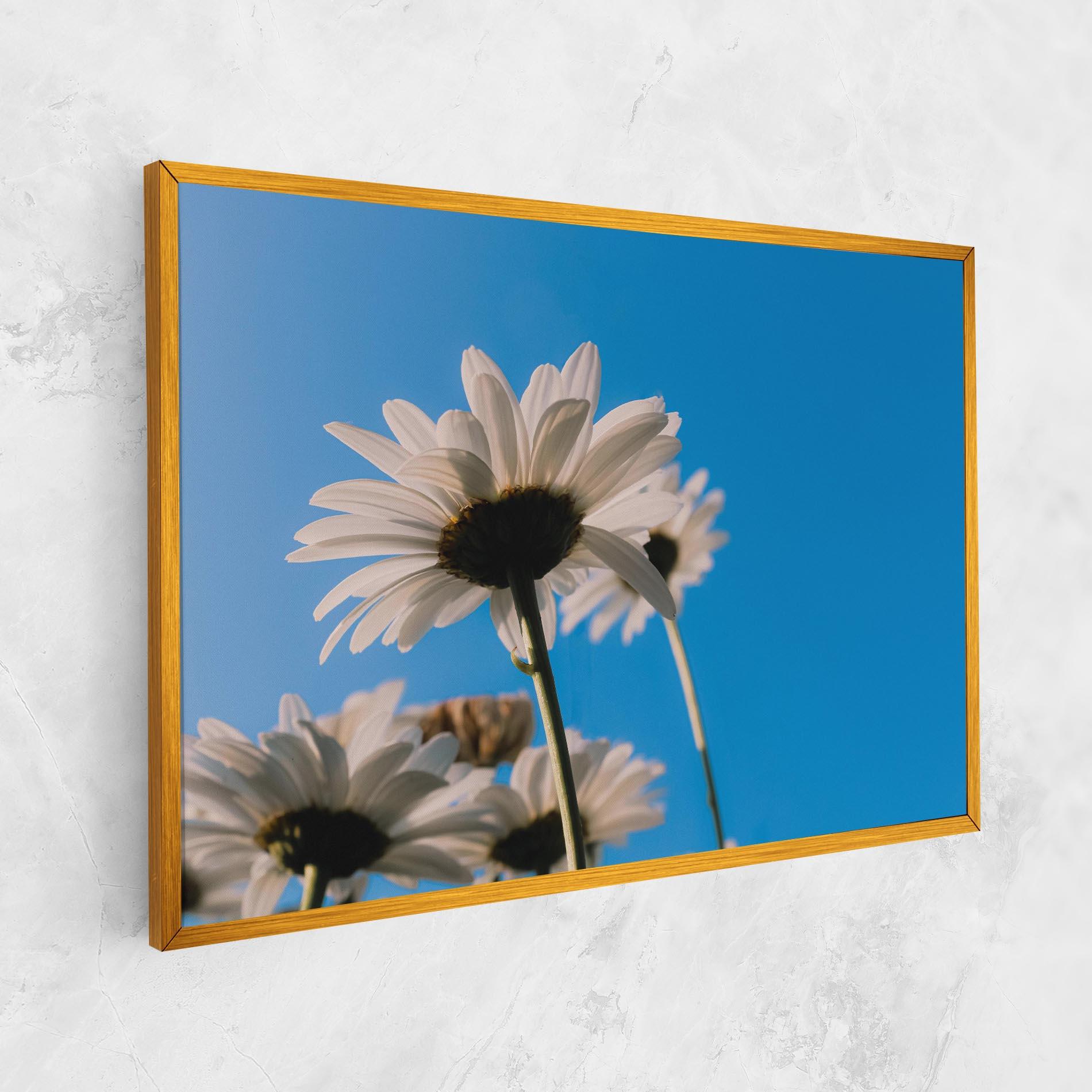 Tablou Canvas Blue Sky Daisy mockup 1