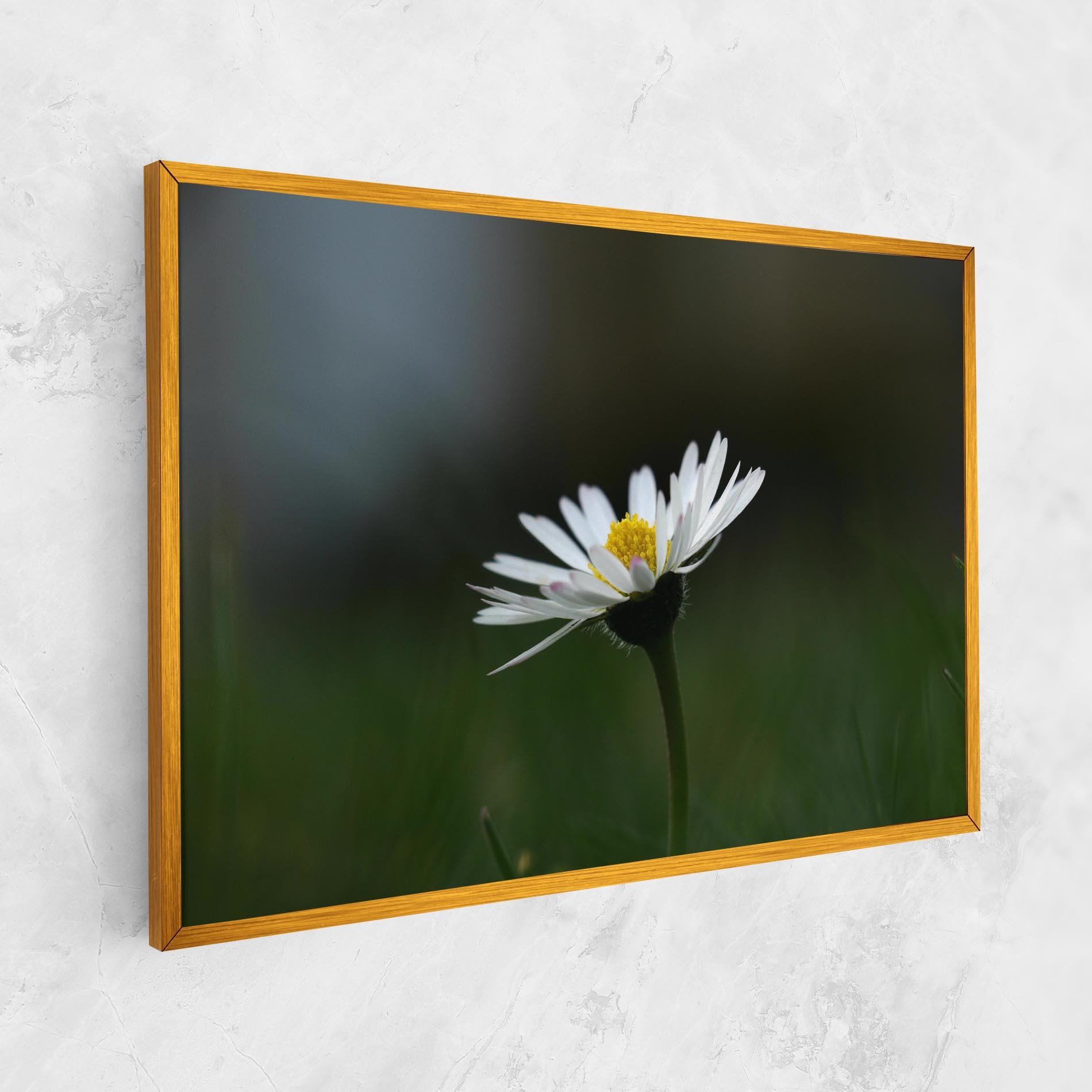 Tablou Canvas Garden Daisy mockup 1