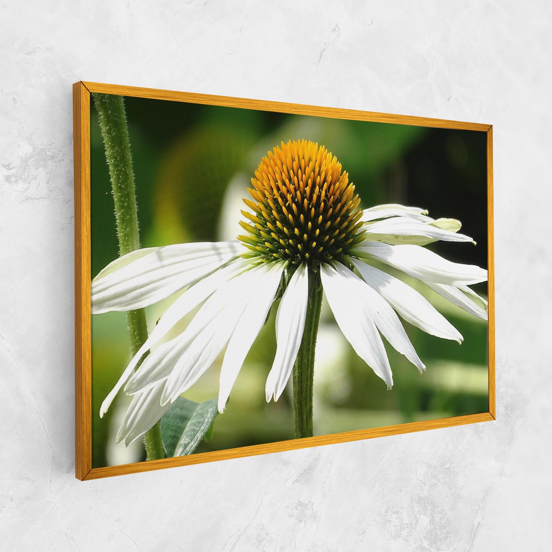 Tablou Canvas Green Daisy mockup 1