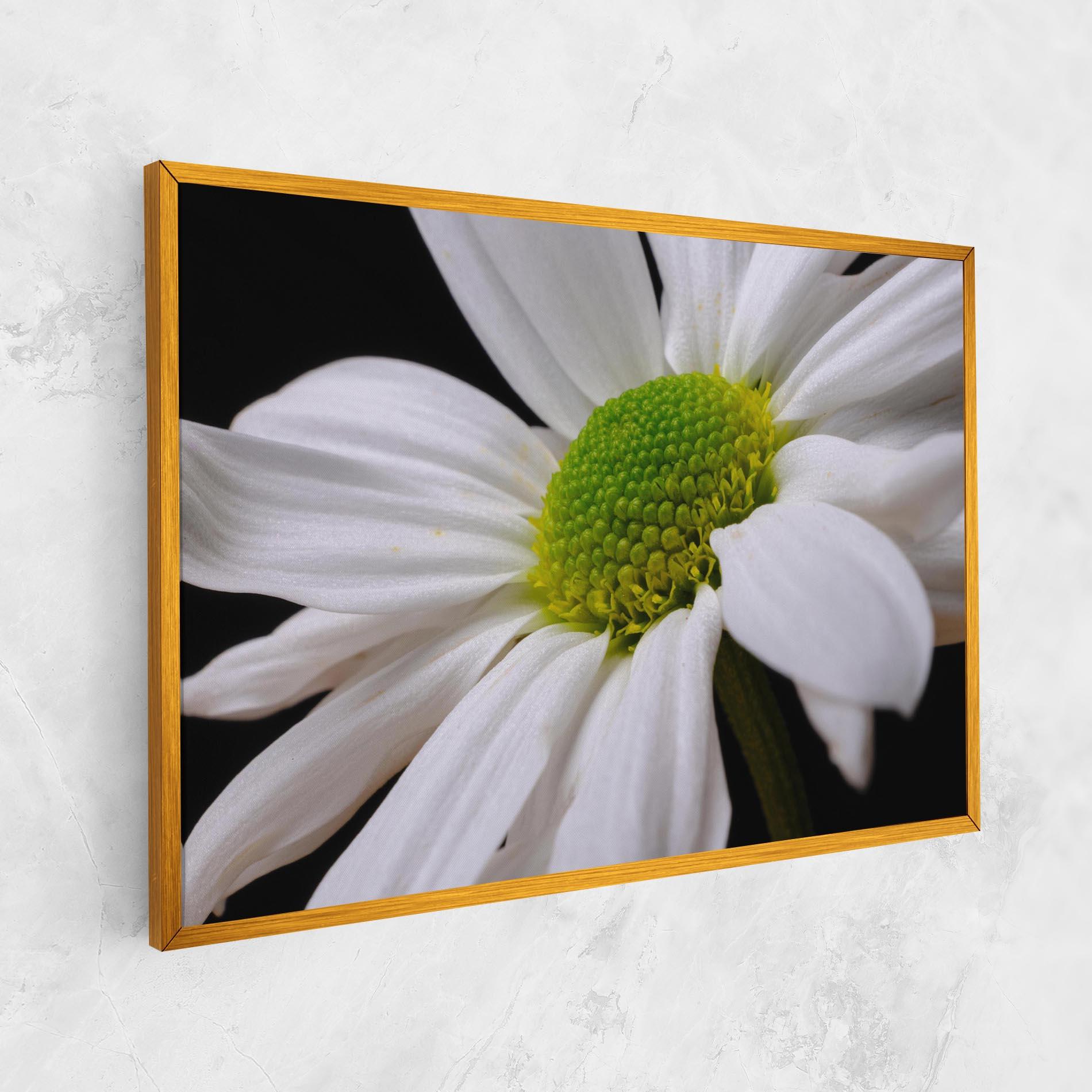 Tablou Canvas Green Middle Daisy mockup 1