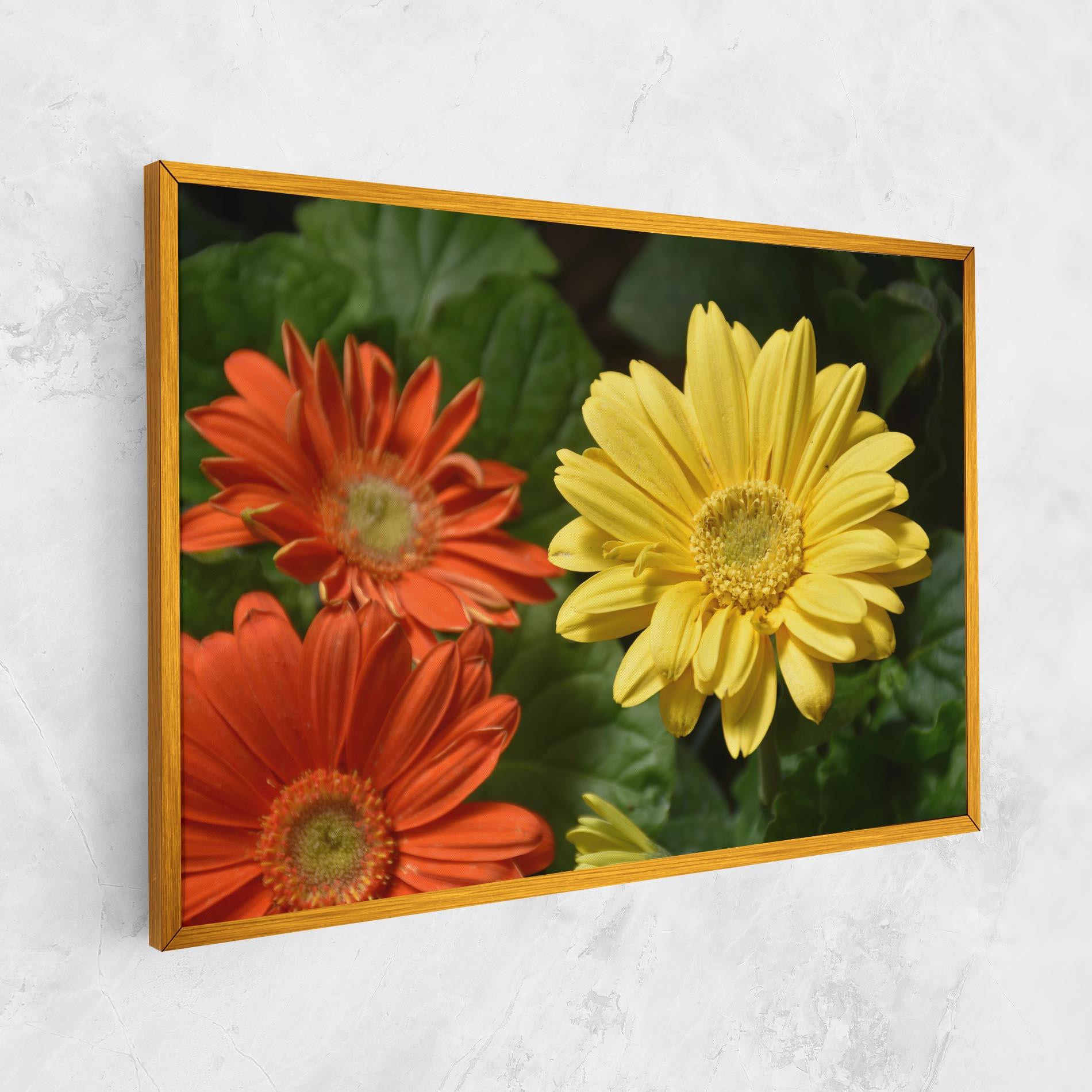 Tablou Canvas Orange Yellow Daisy mockup 1