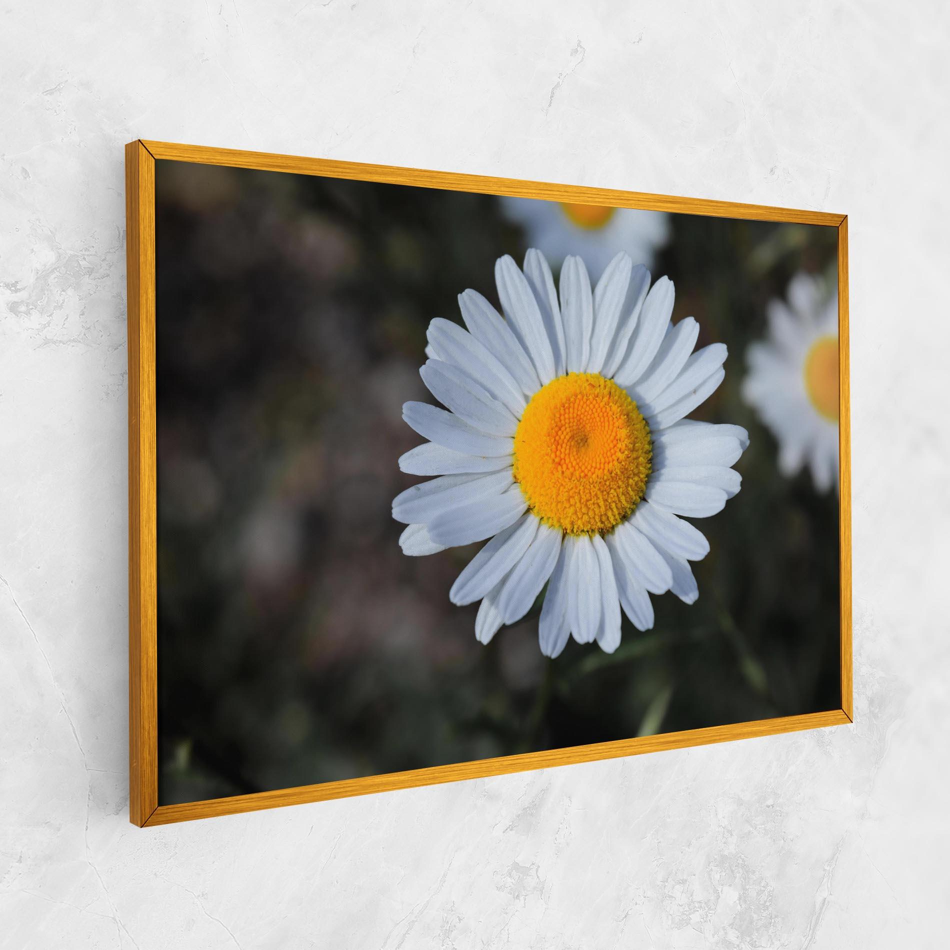 Tablou Canvas Strong Yellow Daisy mockup 1