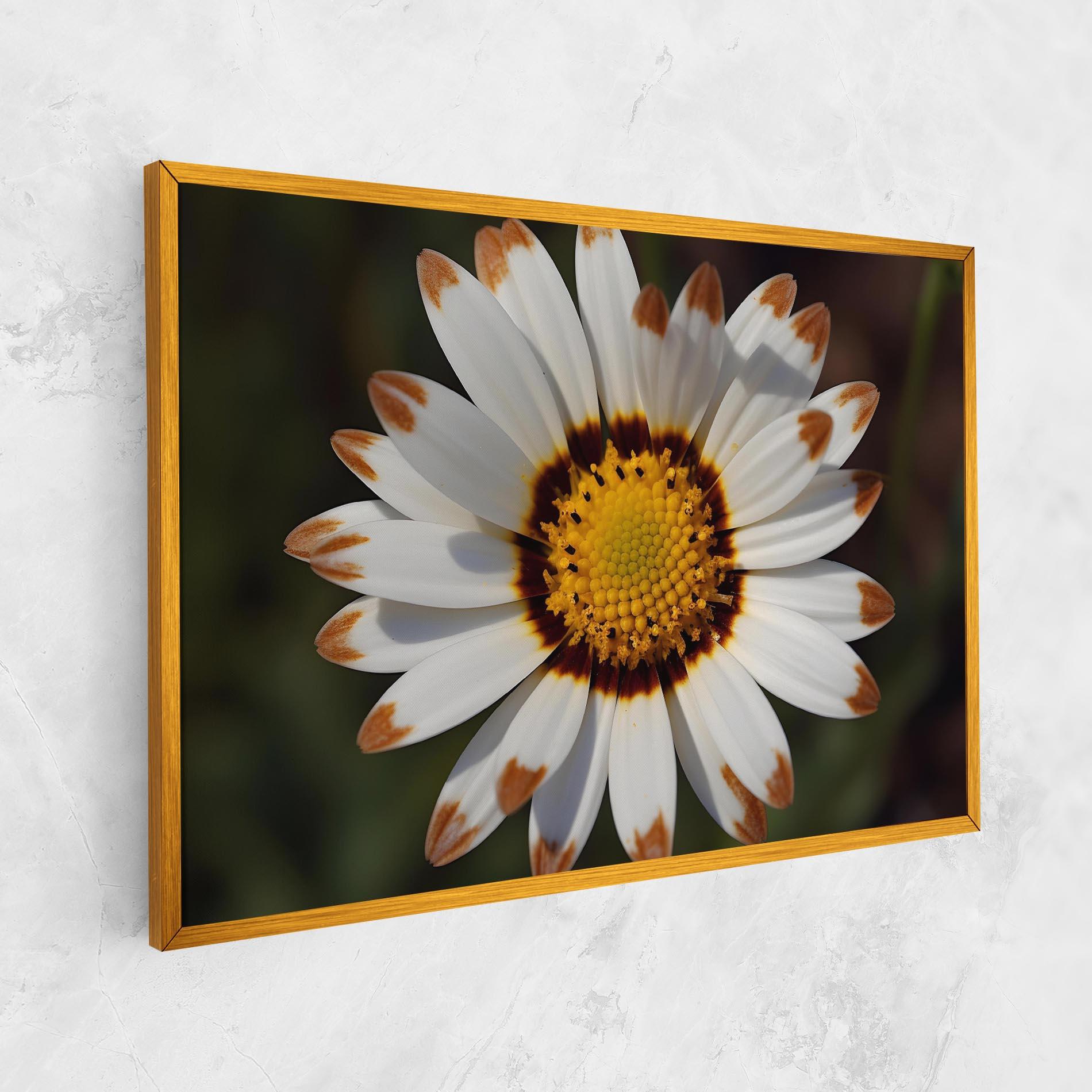 Tablou Canvas White Brown Daisy mockup 1
