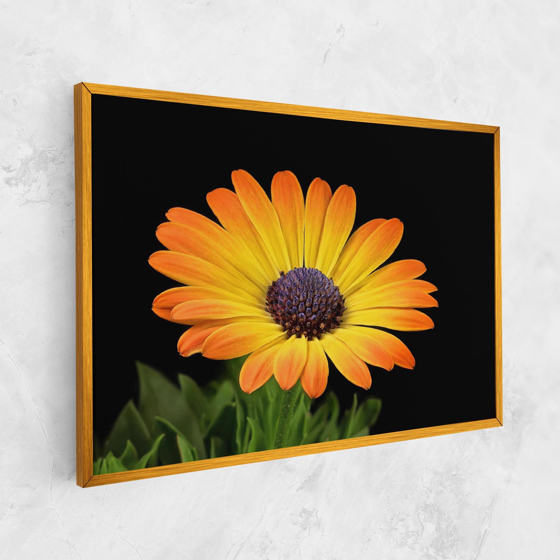 Tablou Canvas Yellow Daisy mockup 1