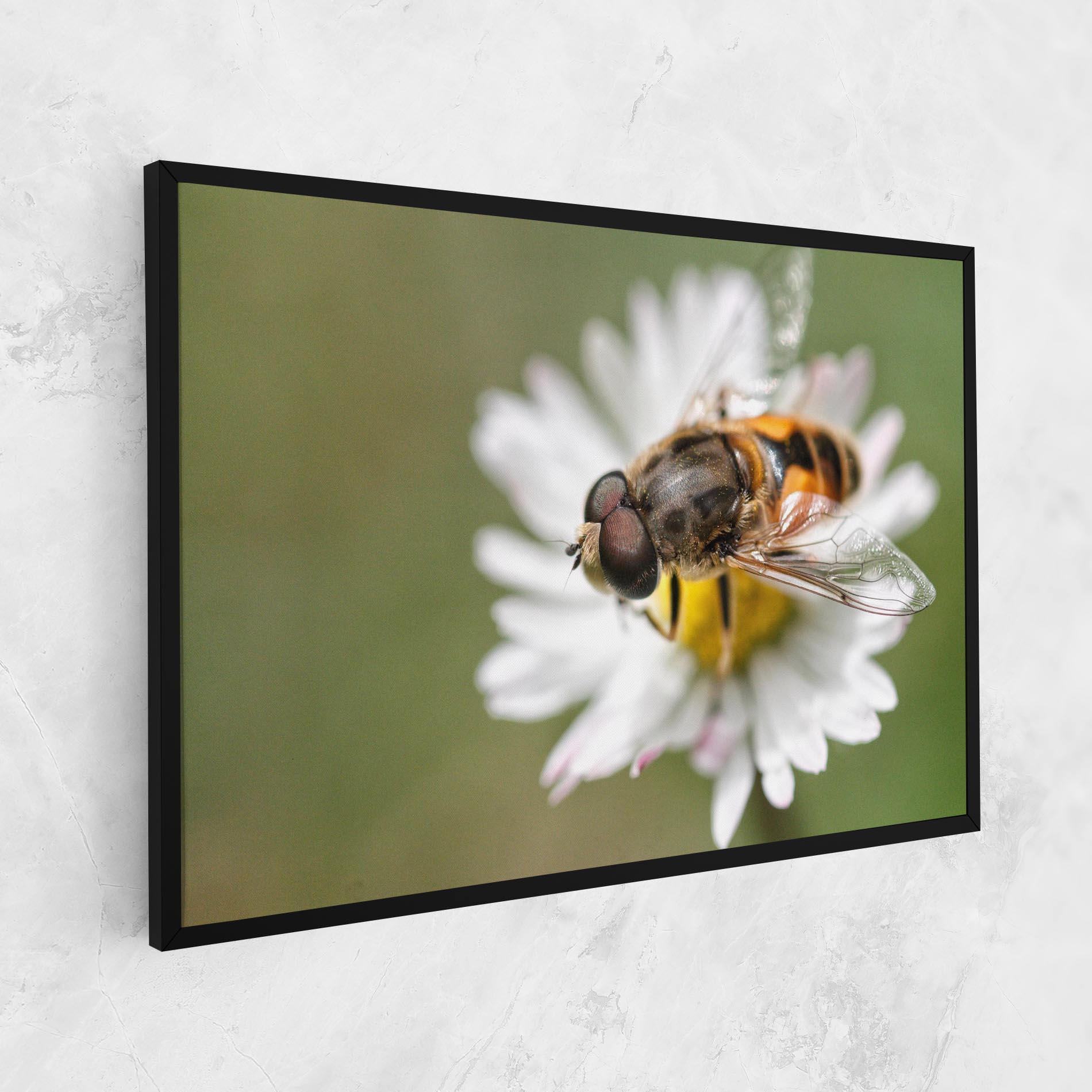 Tablou Canvas Bee On Small Daisy mockup 1