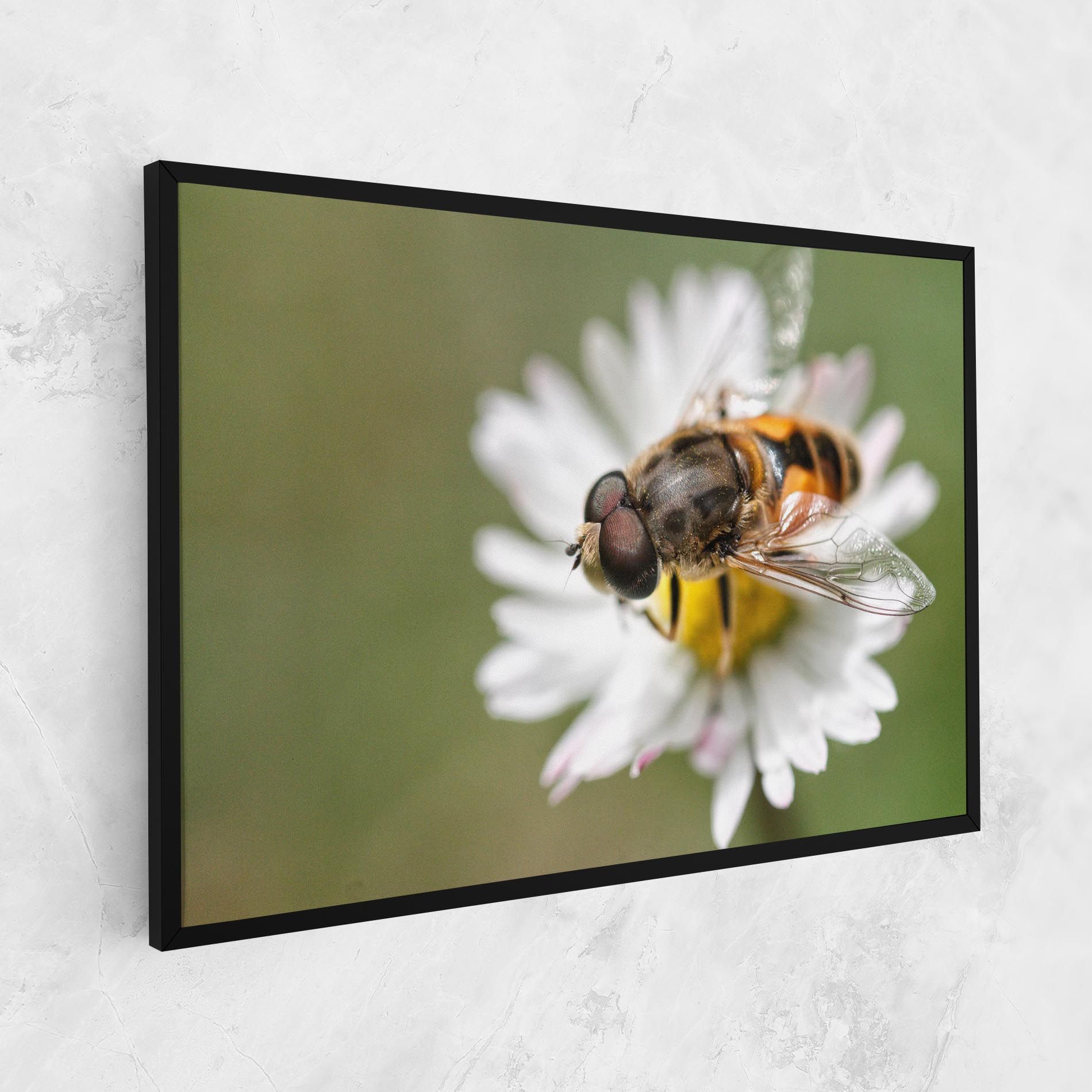 Bee On Small Daisy mockup 1