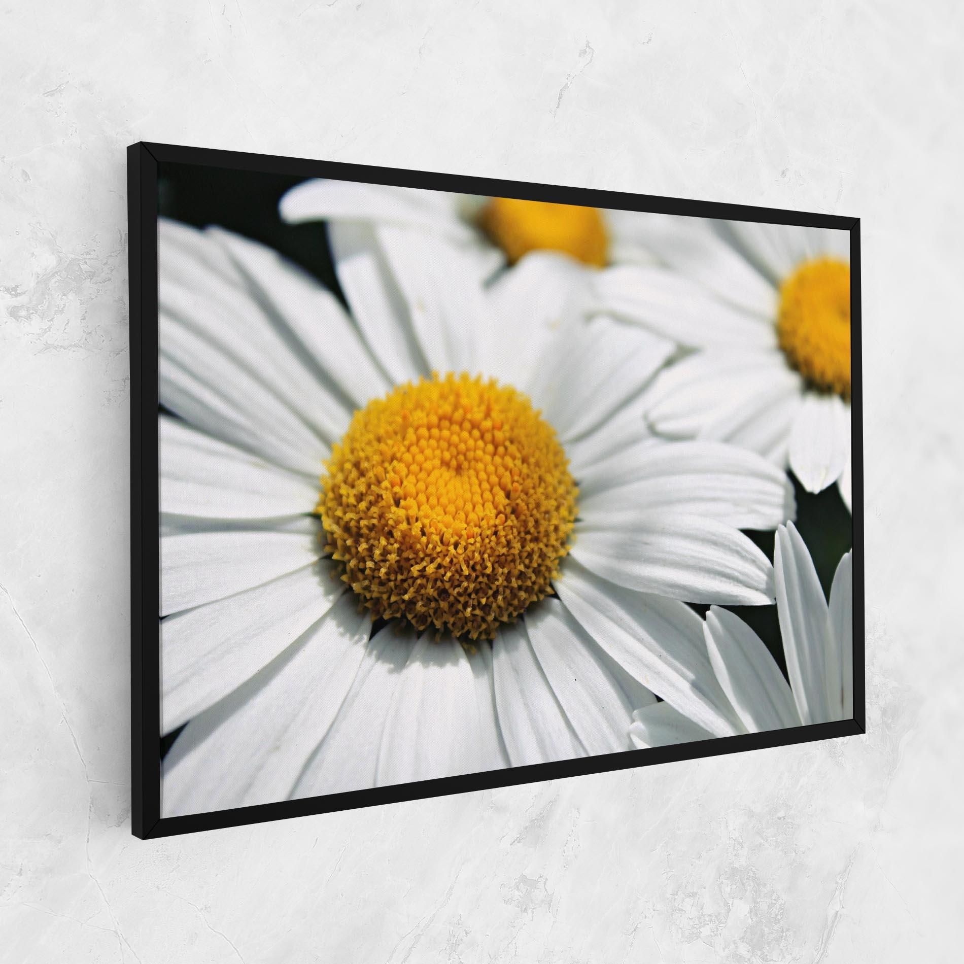 Tablou Canvas Big Daisies mockup 1