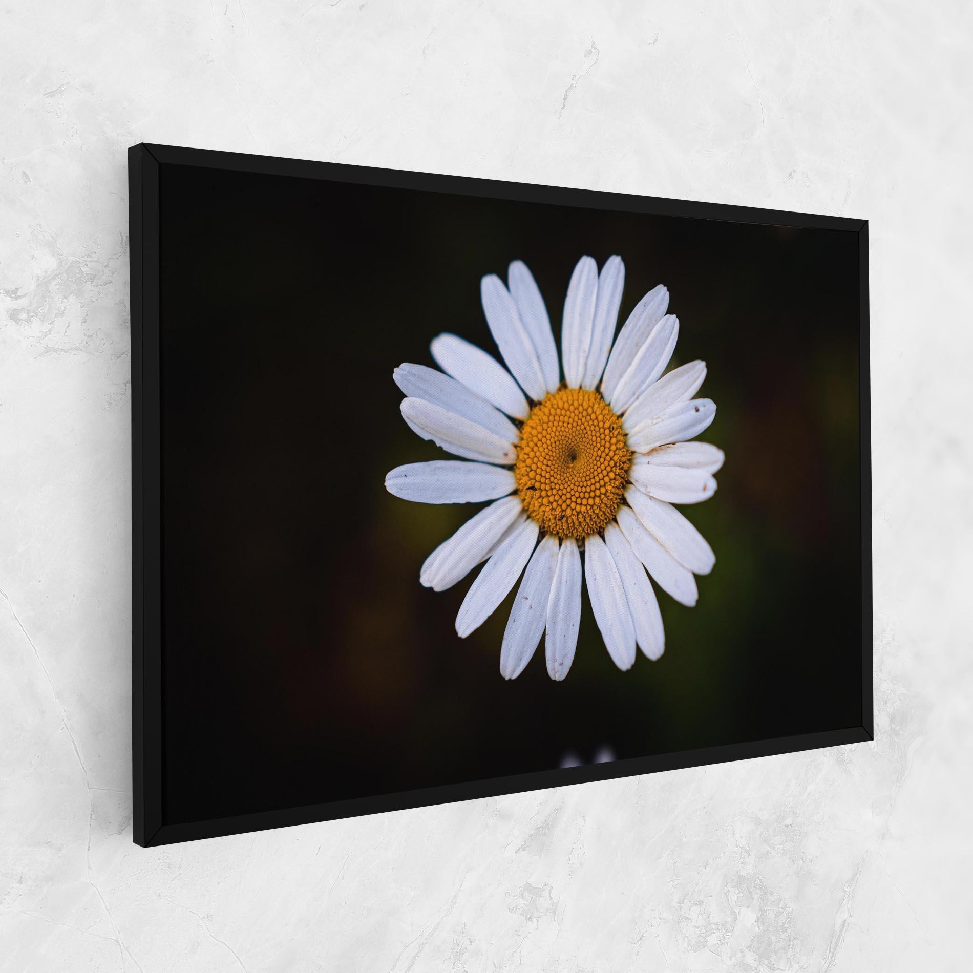 Tablou Canvas Big Yellow Center Daisy mockup 1