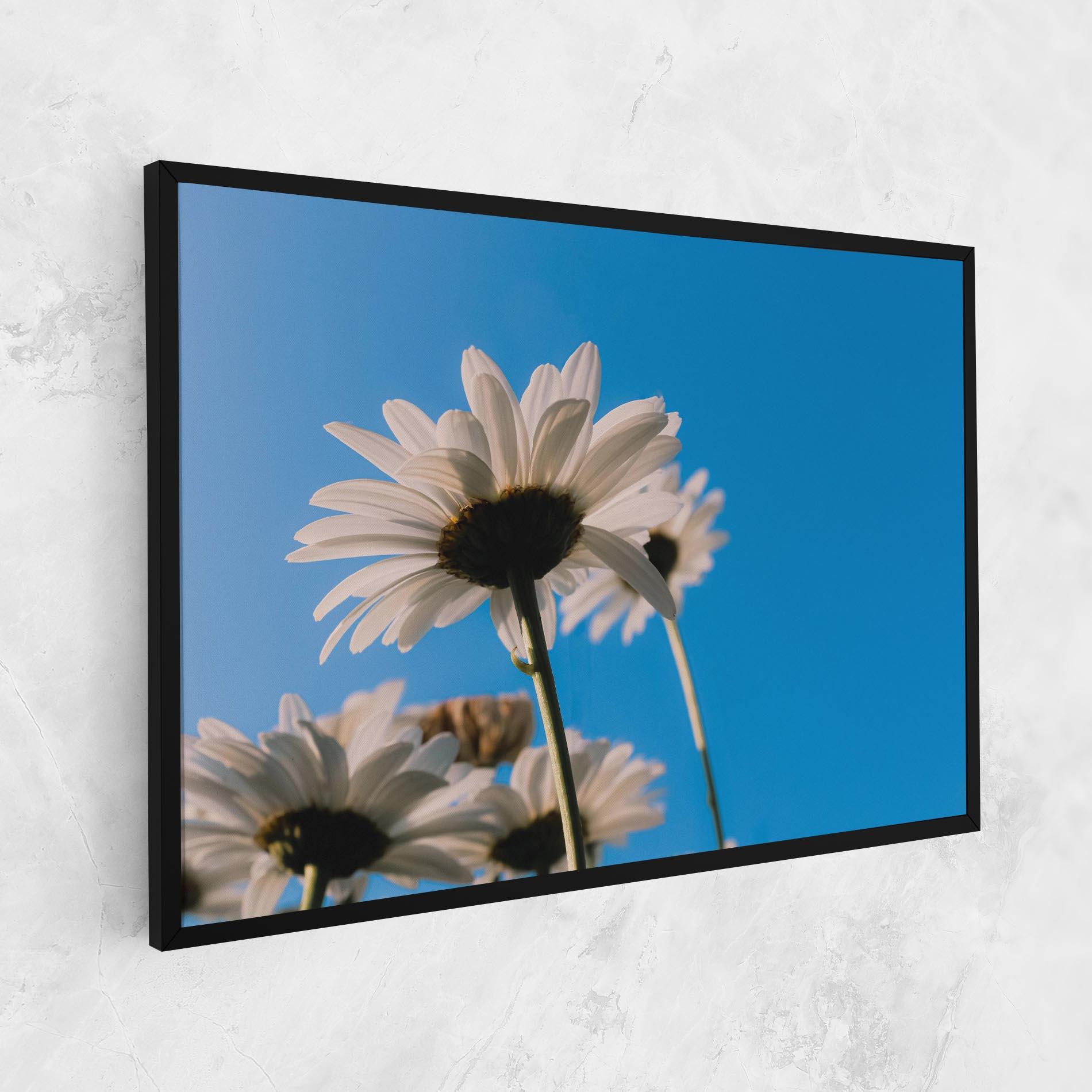 Tablou Canvas Blue Sky Daisy mockup 1