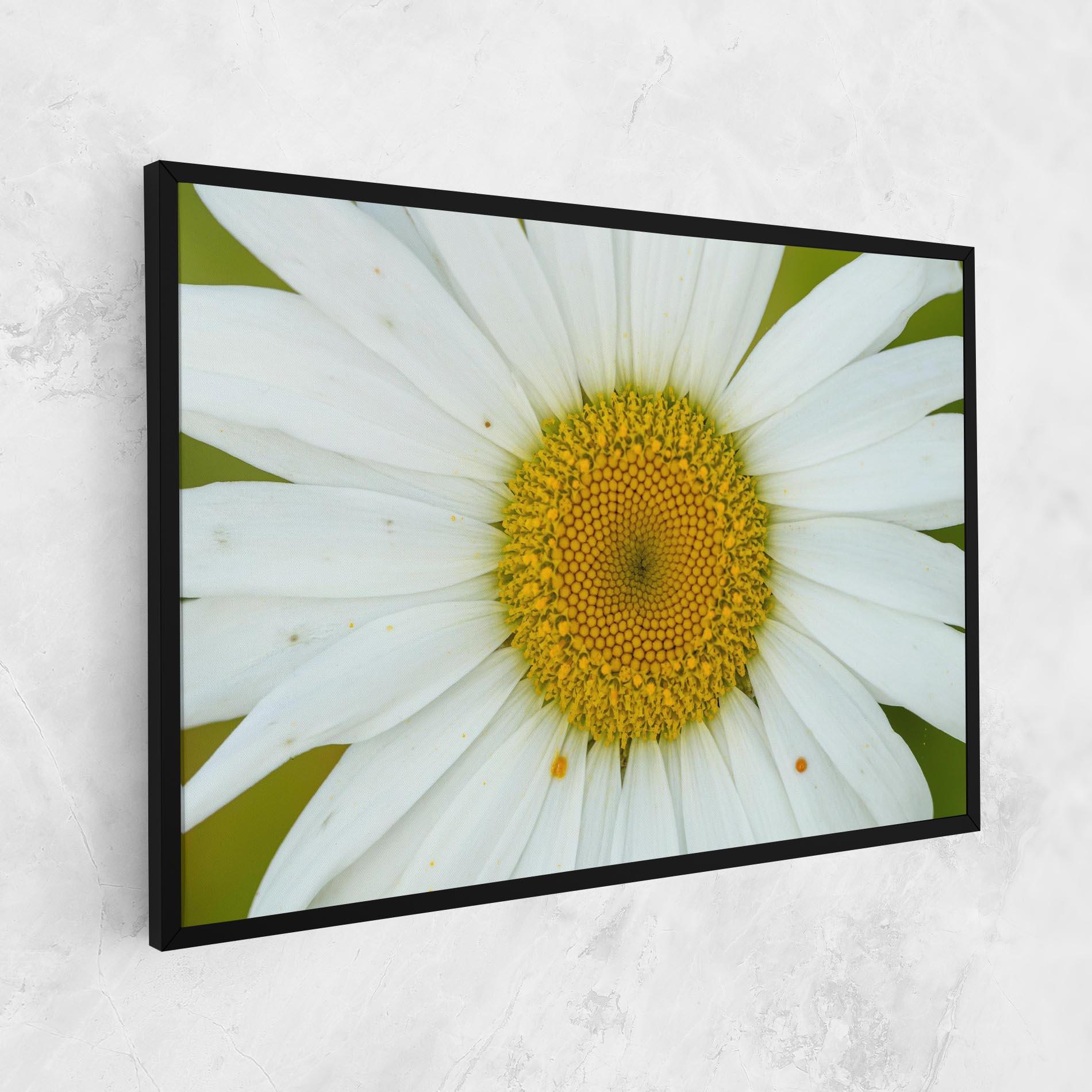 Tablou Canvas Daisy Close Up mockup 1