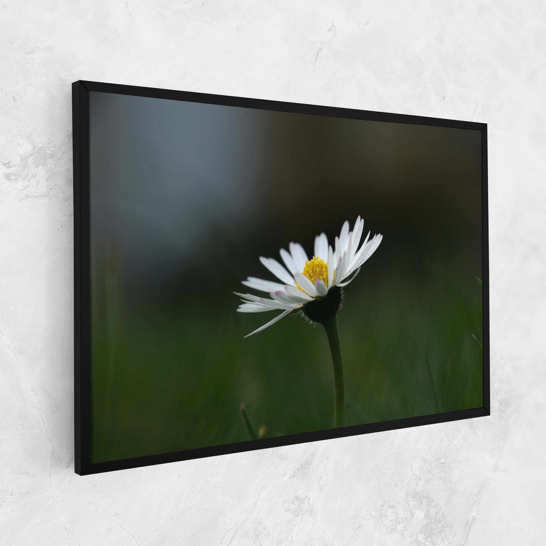 Tablou Canvas Garden Daisy mockup 1